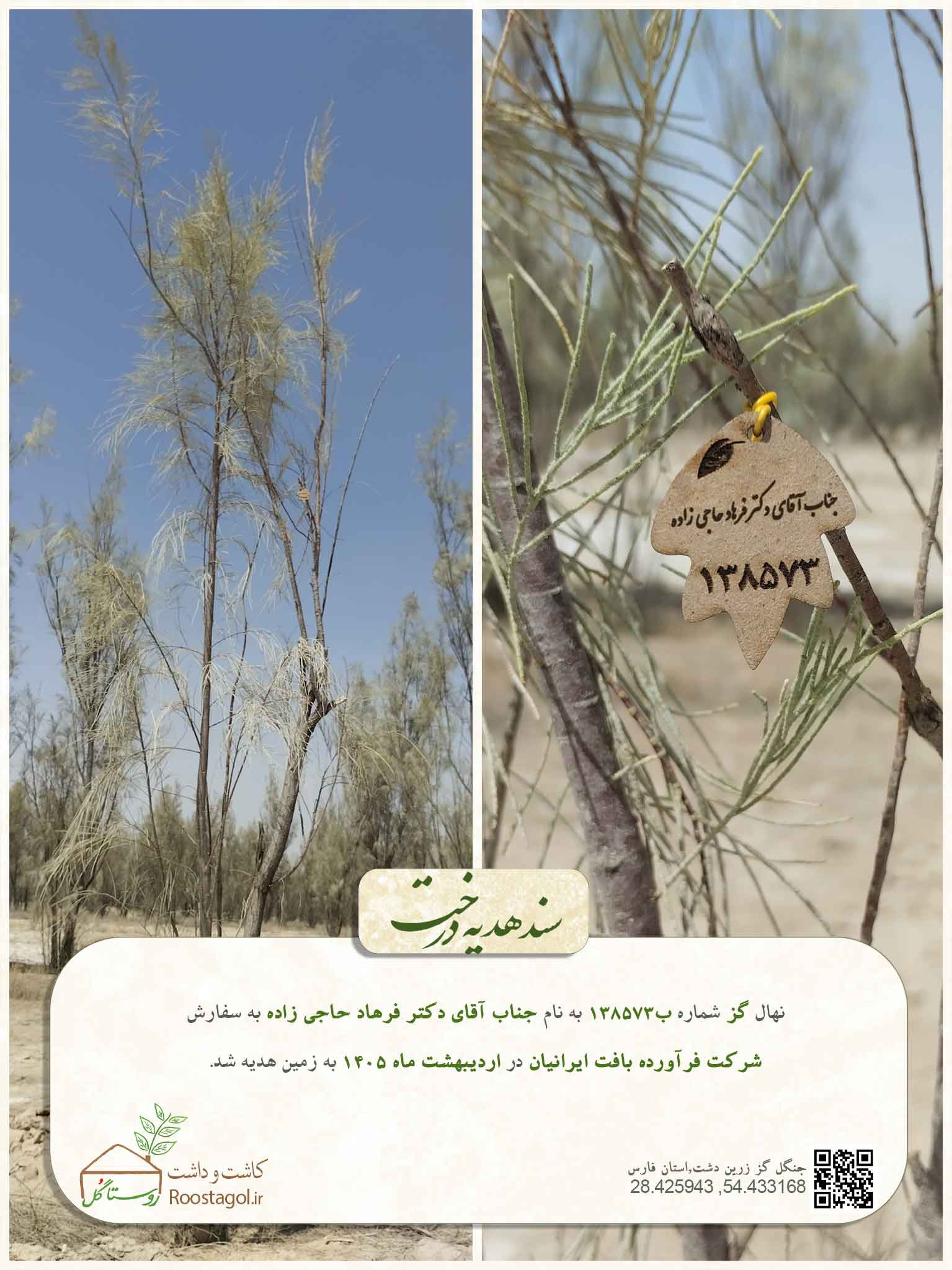 جناب آقای دکتر فرهاد حاجی زاده