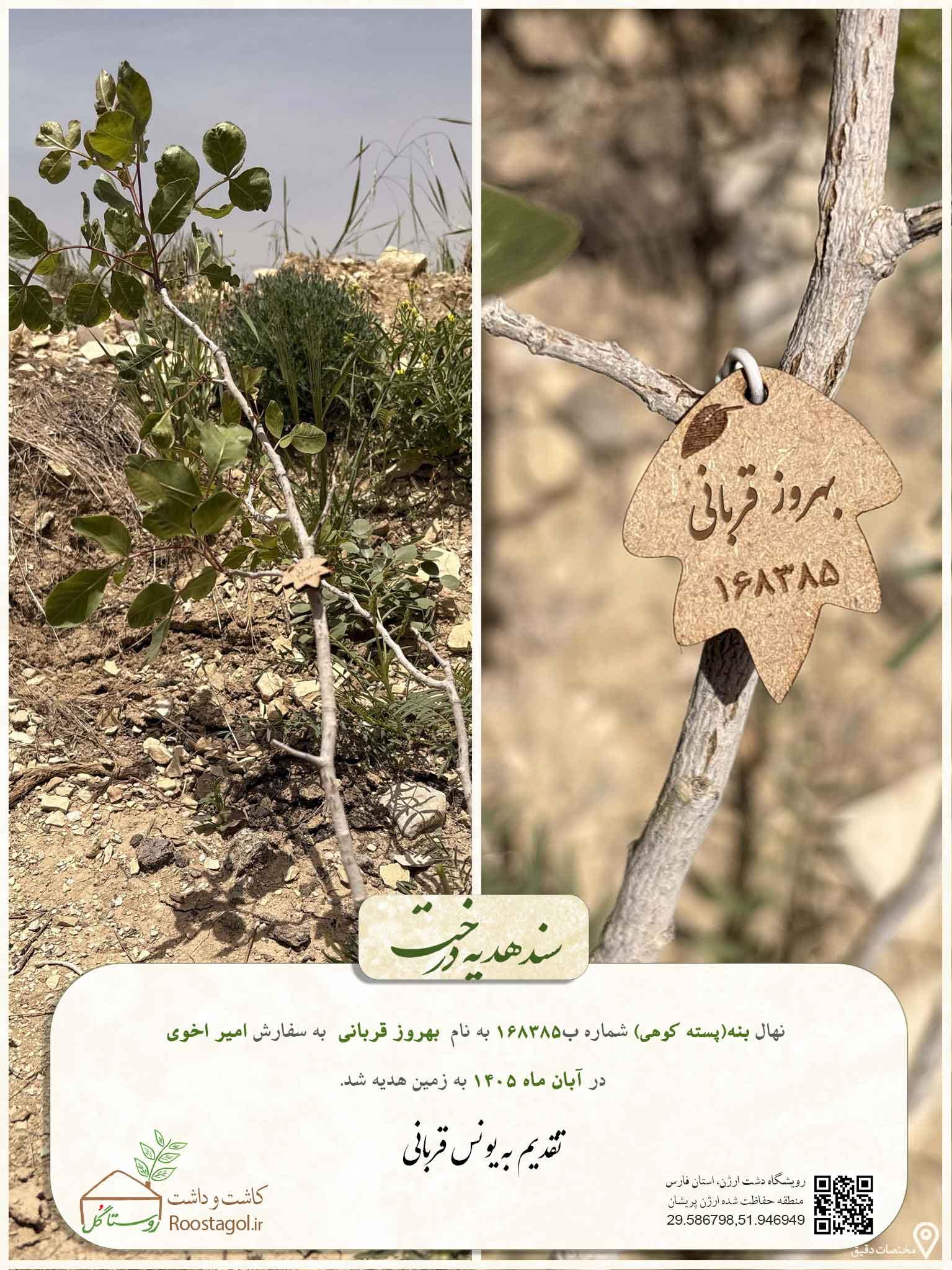 بهروز قربانی