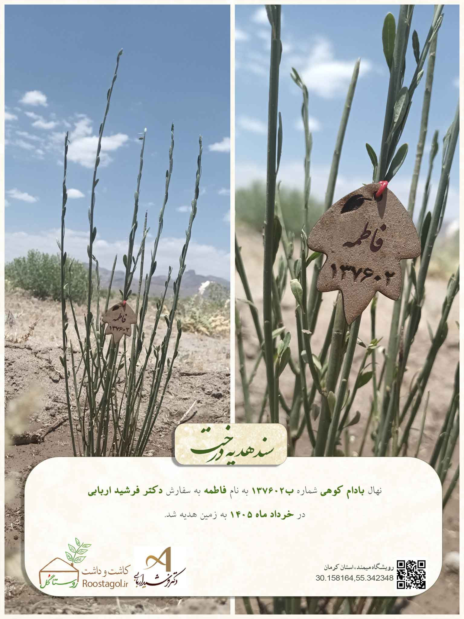 فاطمه
