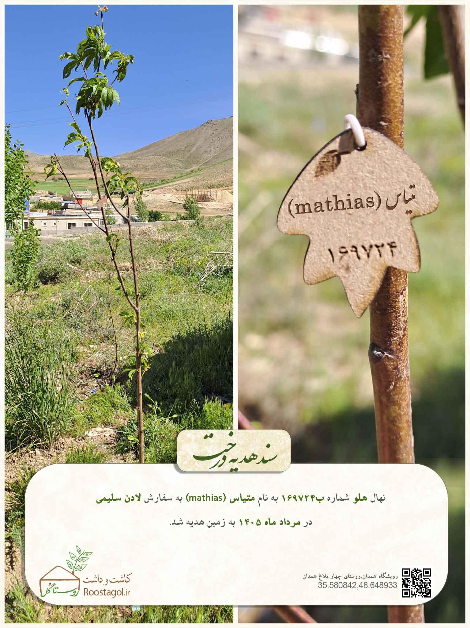 متیاس (mathias)
