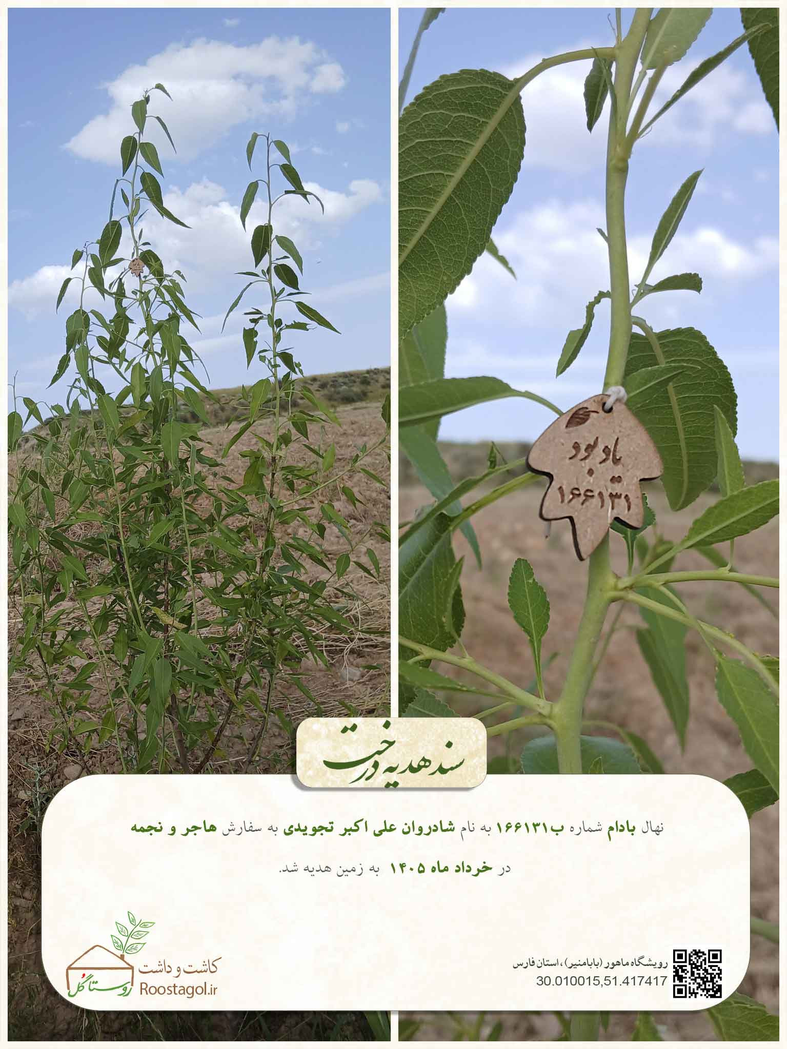 شادروان علی اکبر تجویدی