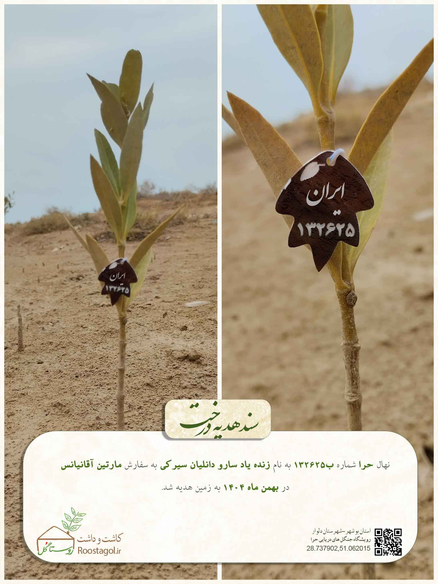 زنده یاد سارو دانلیان سیرکی