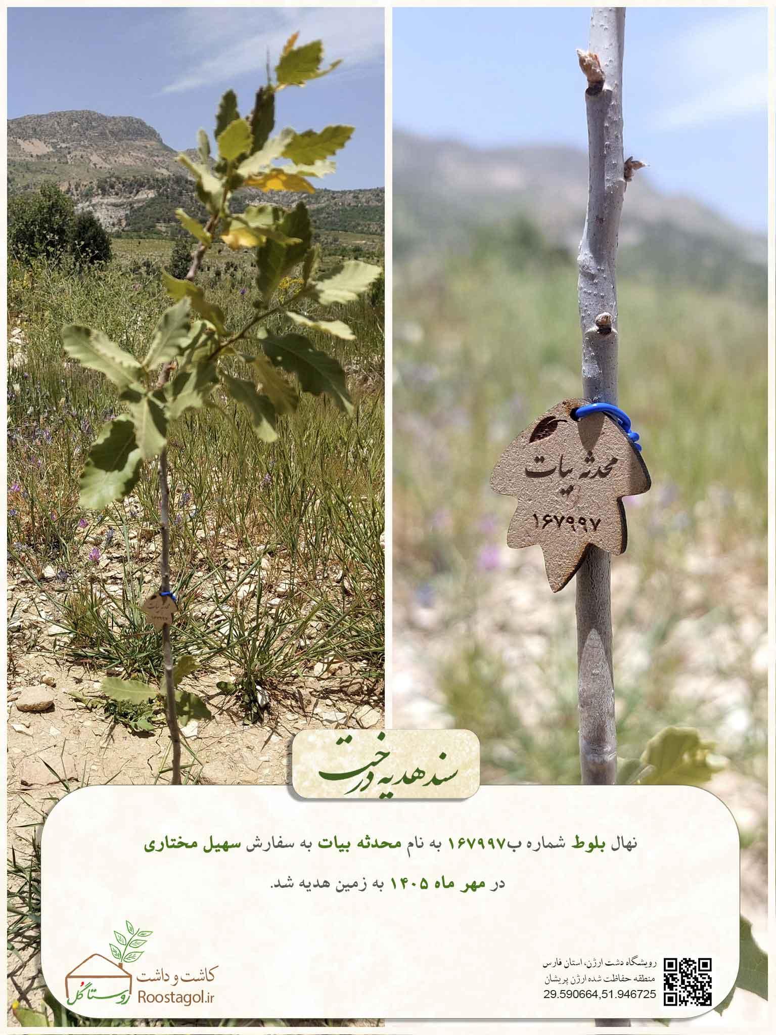 محدثه بیات