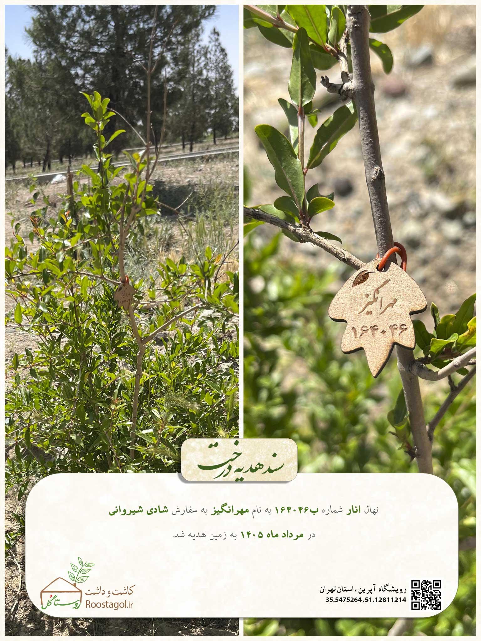 مهرانگیز