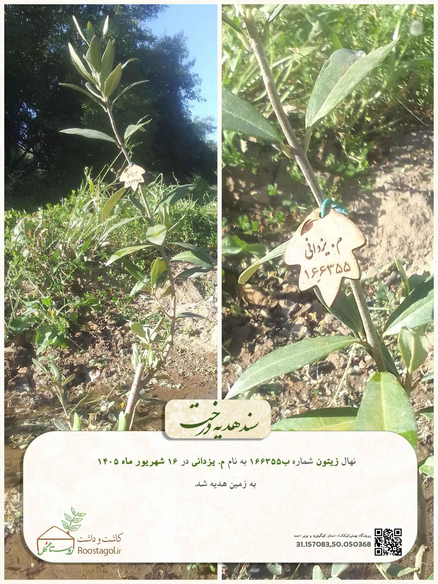 م. یزدانی