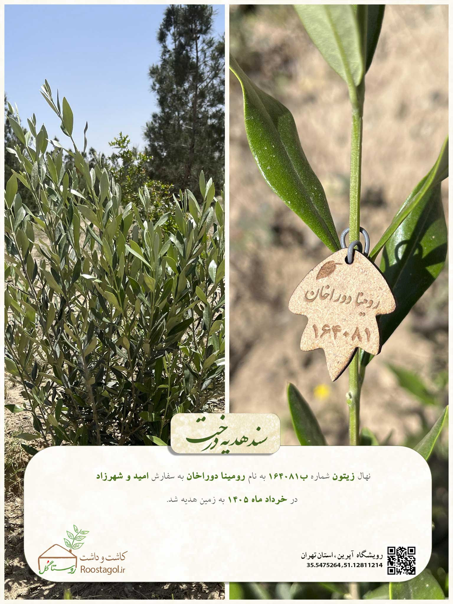 رومینا دوراخان