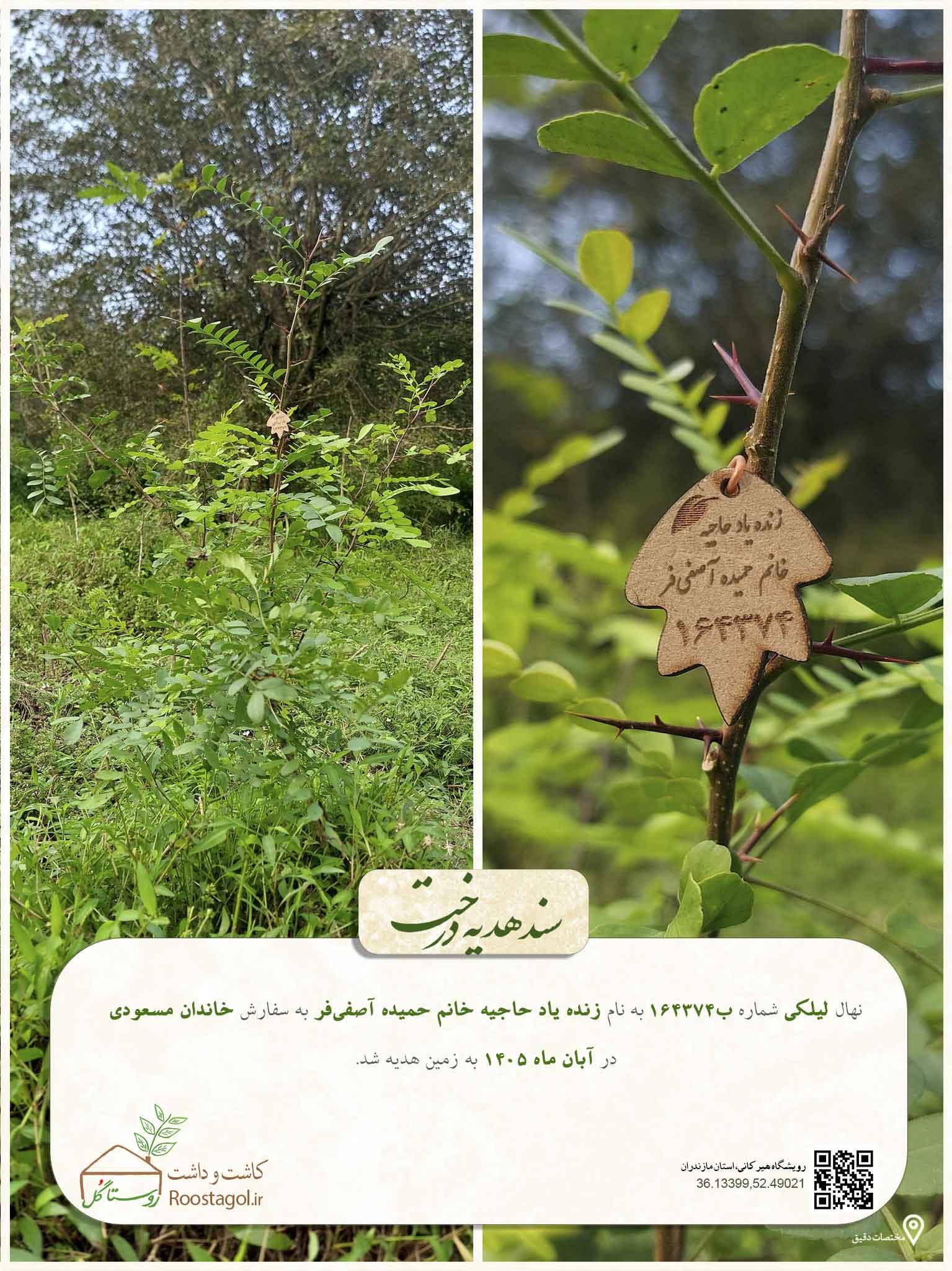 زنده یاد حاجیه خانم حمیده آصفی‌فر