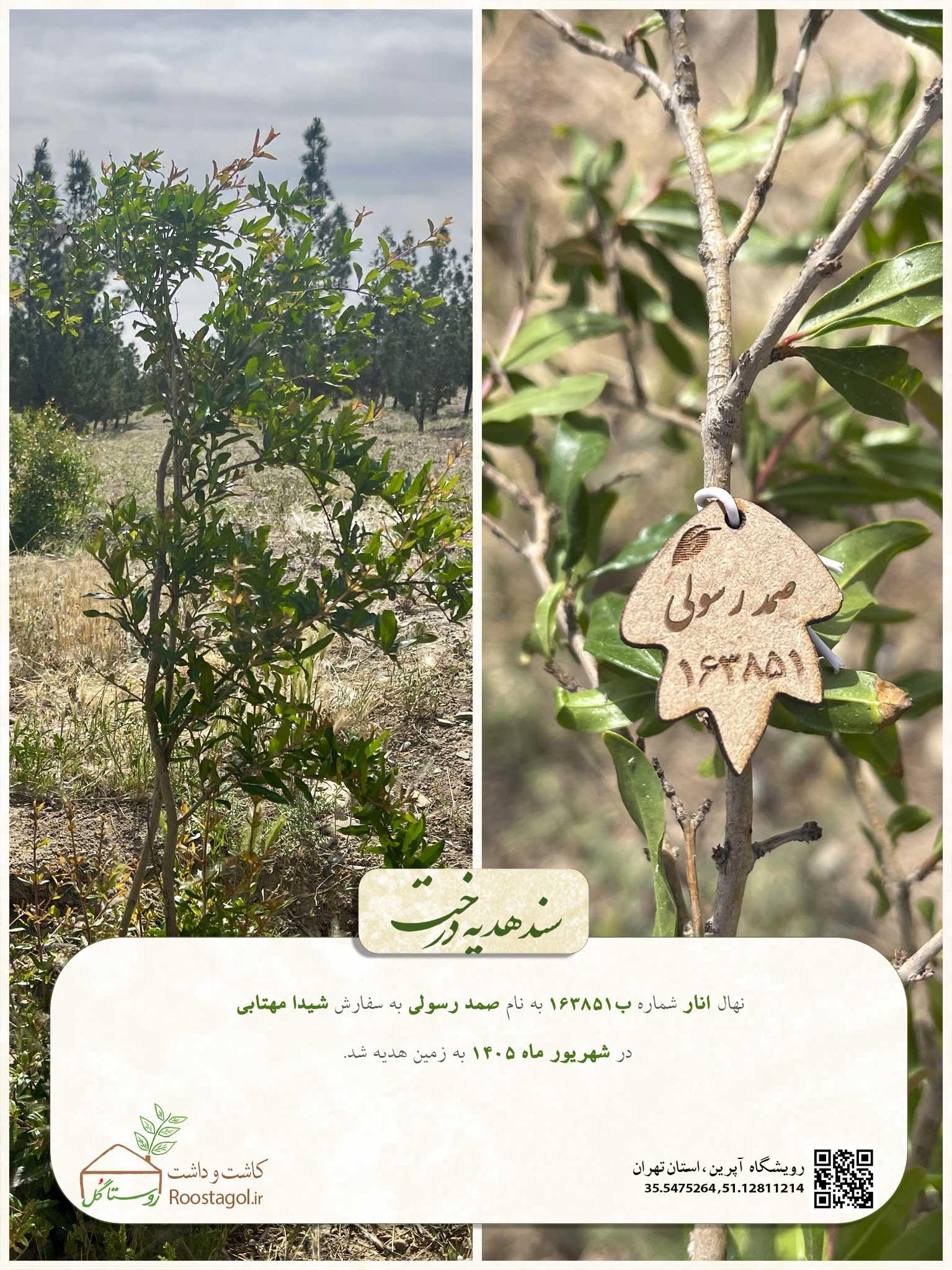 صمد رسولی