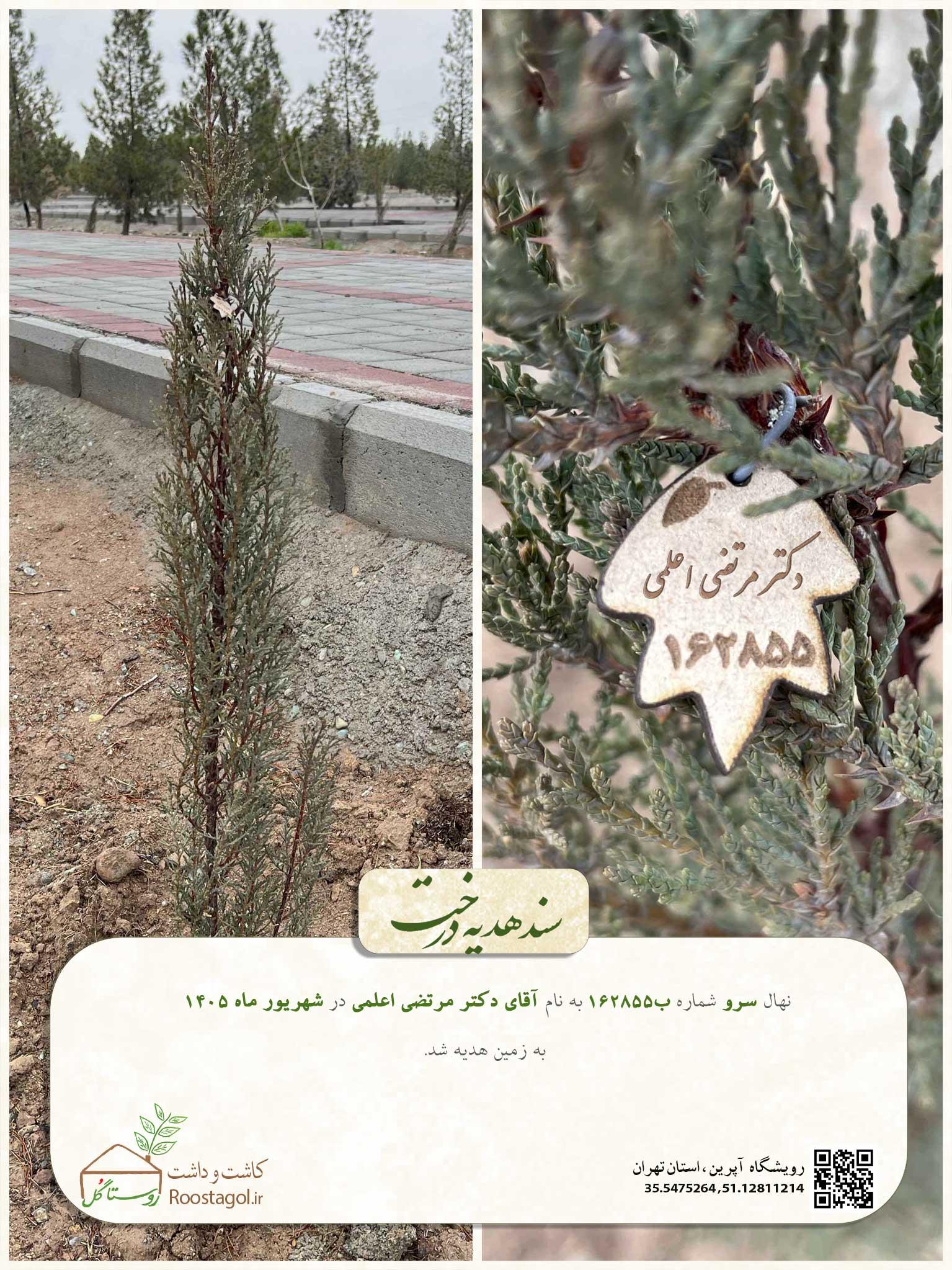 آقای دکتر مرتضی اعلمی