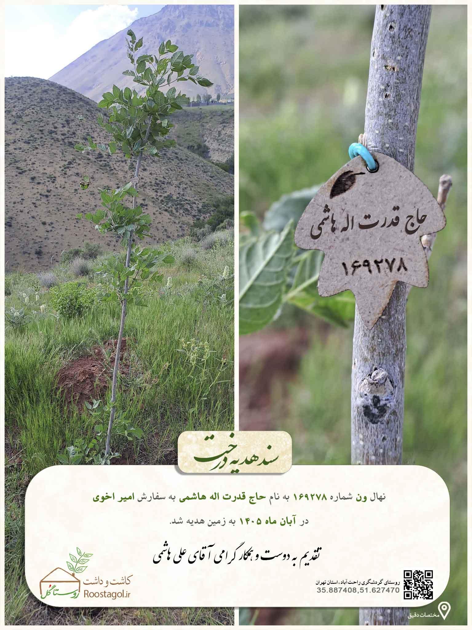 حاج قدرت اله هاشمی