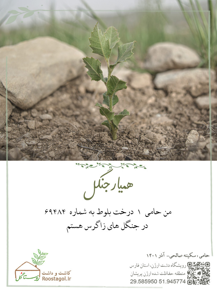 سفارش درخت