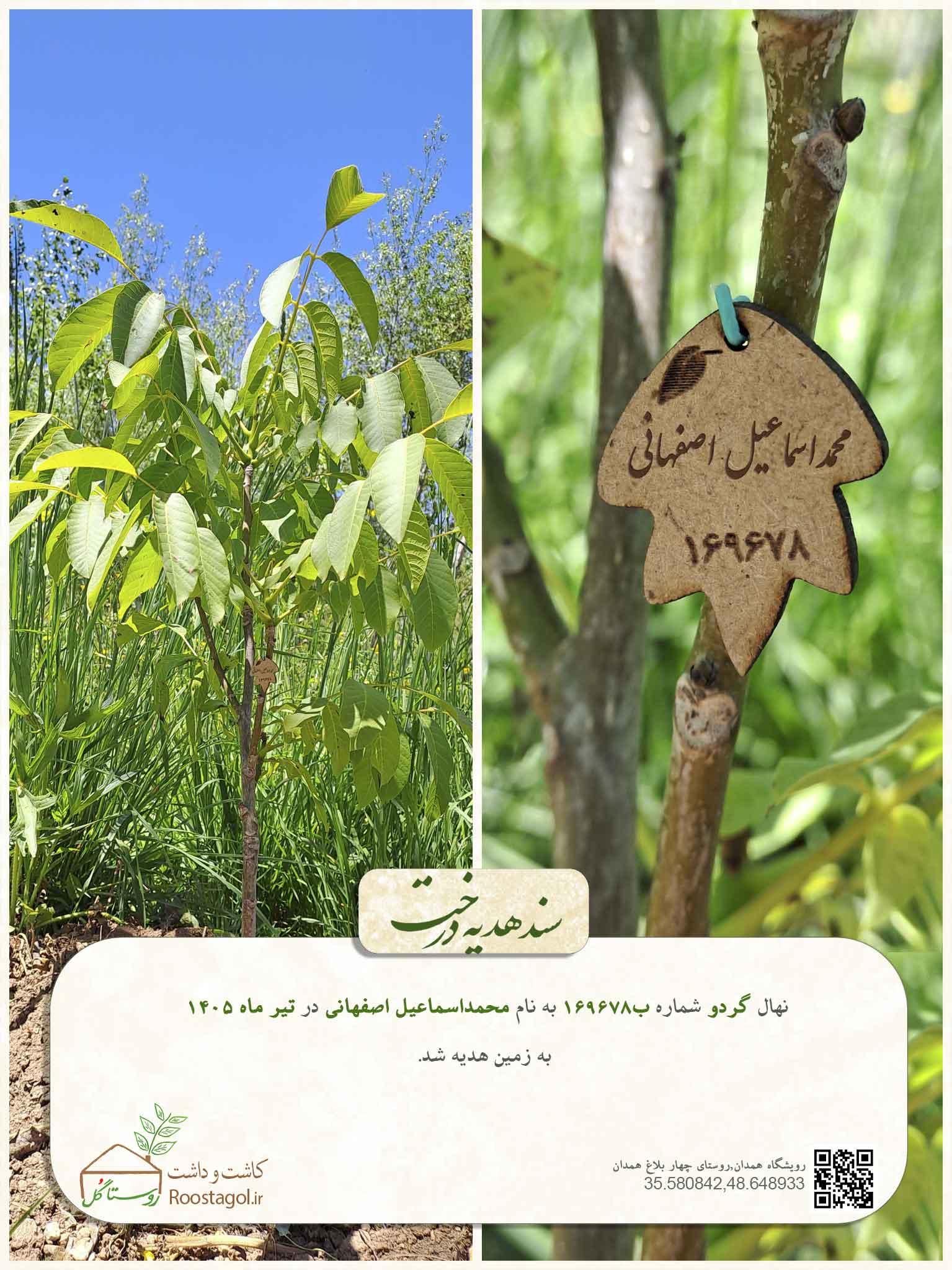 محمداسماعیل اصفهانی