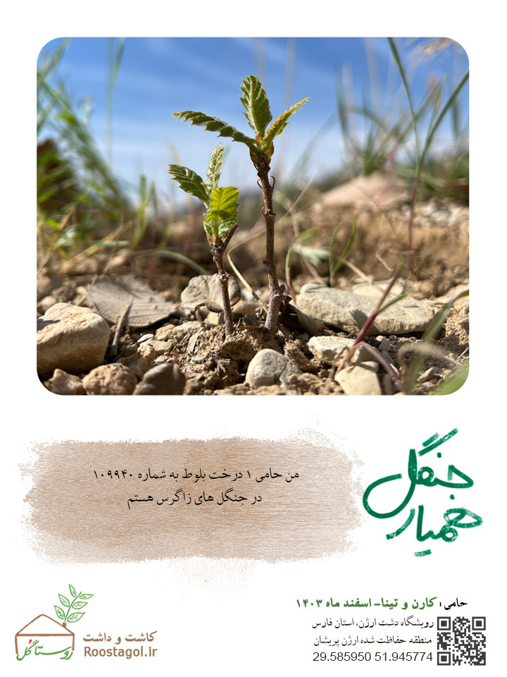 سفارش درخت