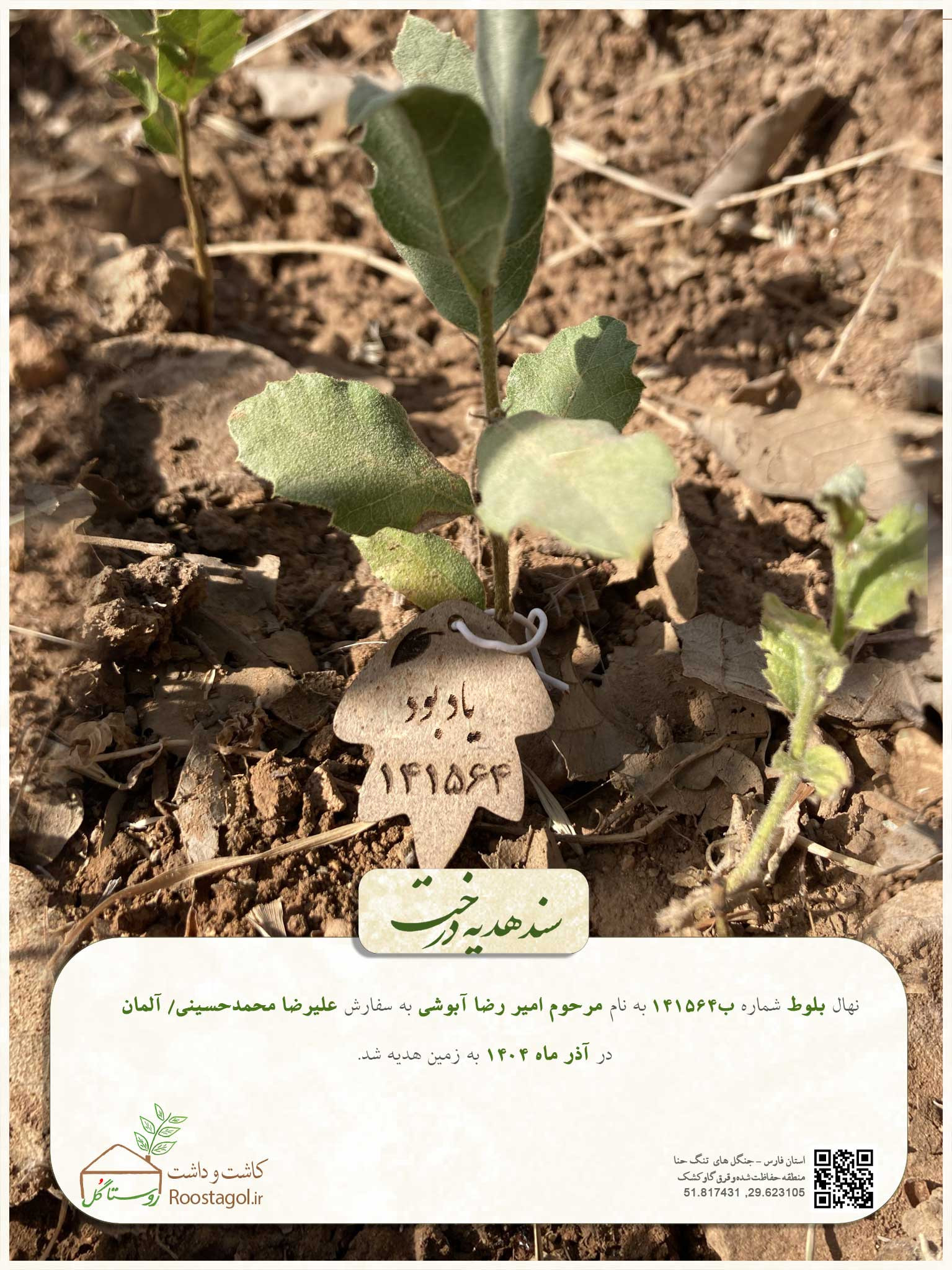 مرحوم امیر رضا آبوشی