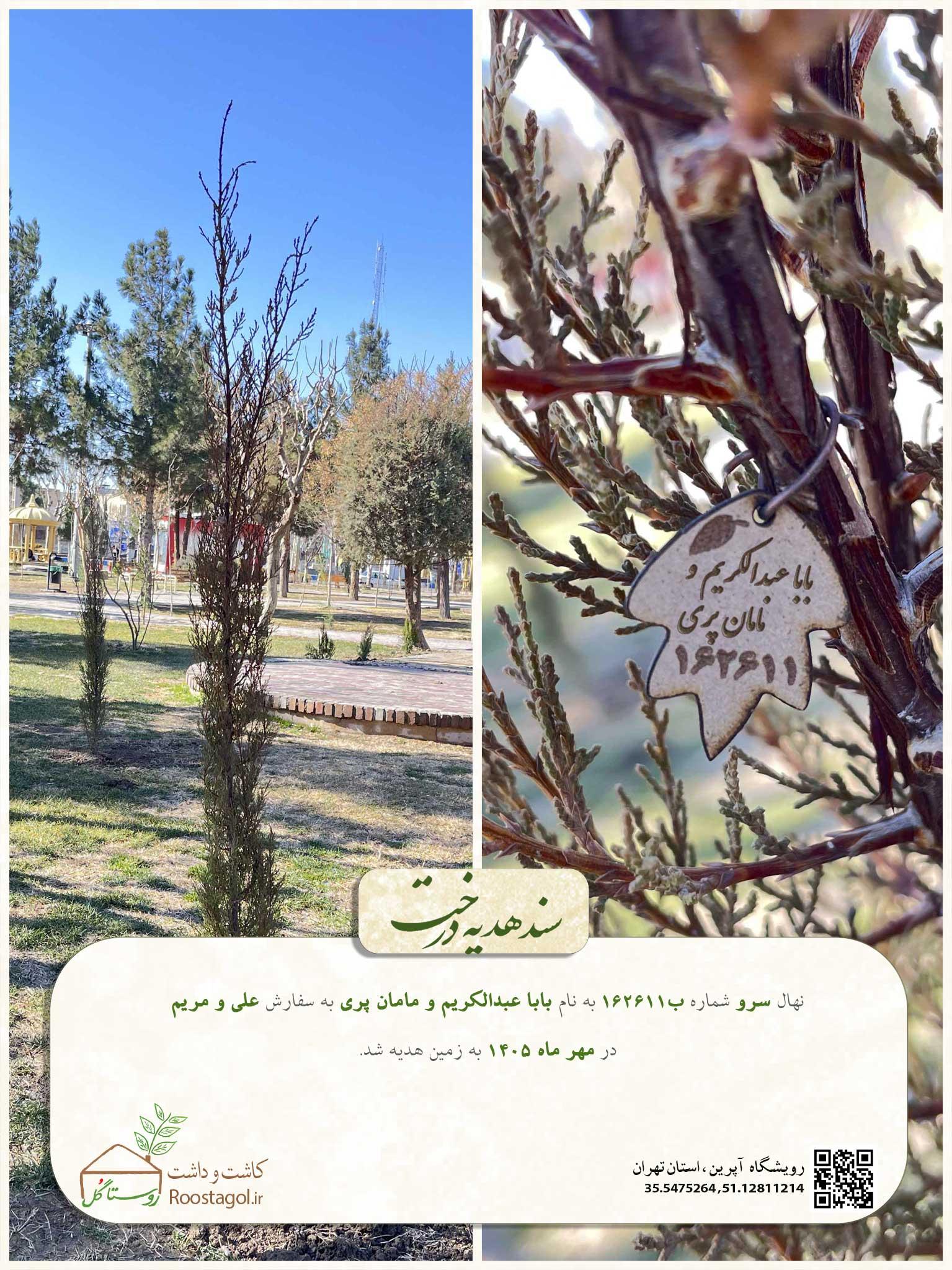 سفارش درخت