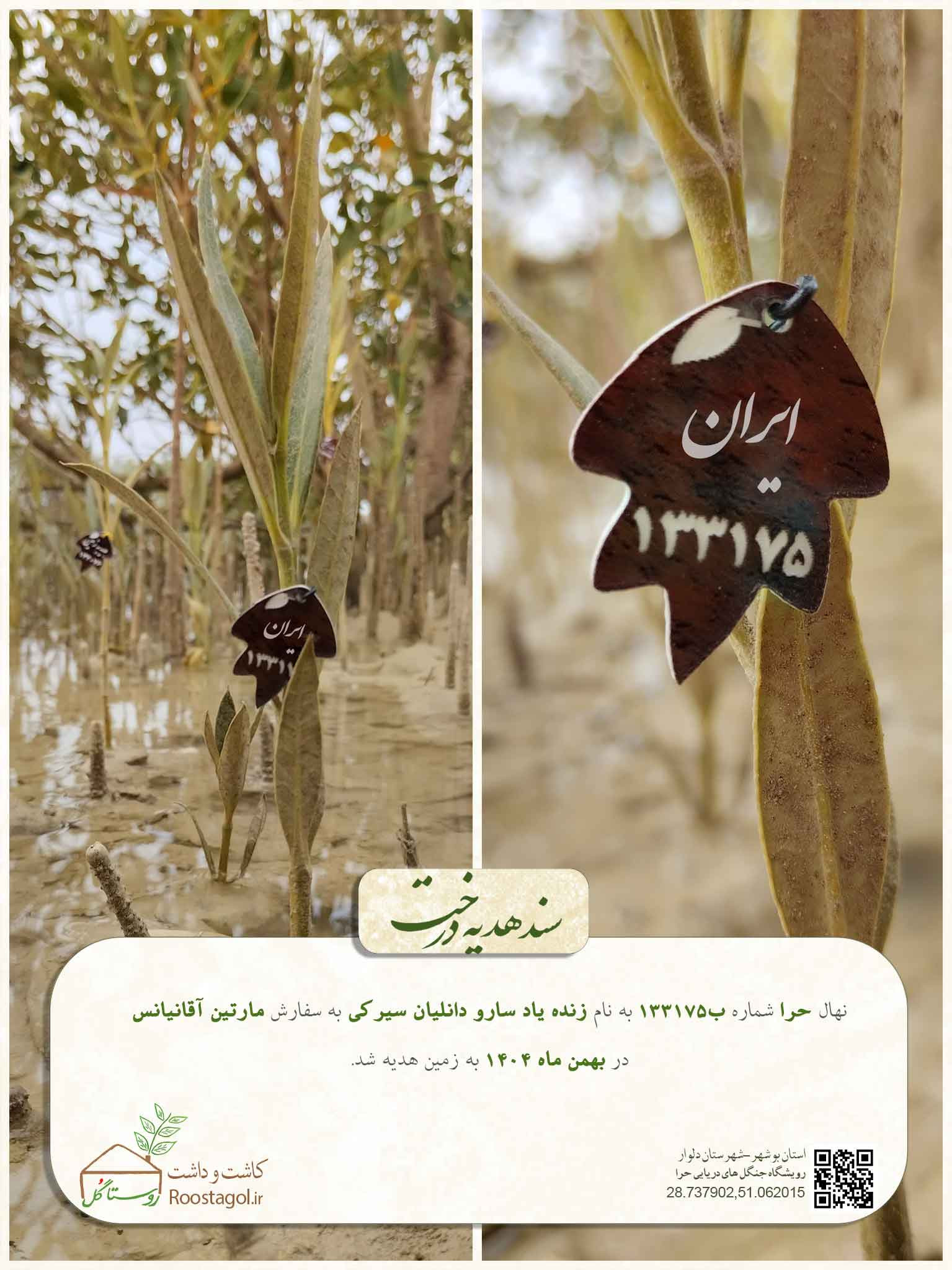 زنده یاد سارو دانلیان سیرکی