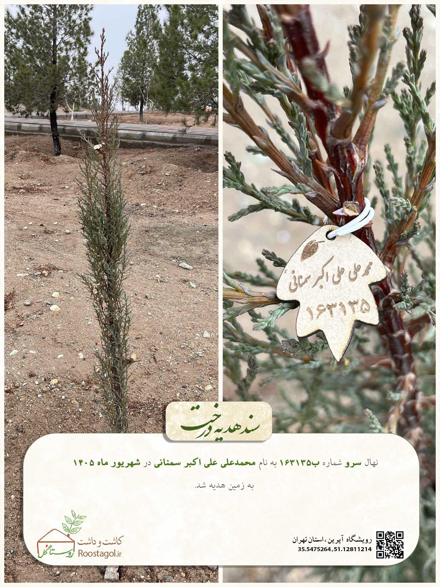 محمدعلی علی اکبر سمنانی