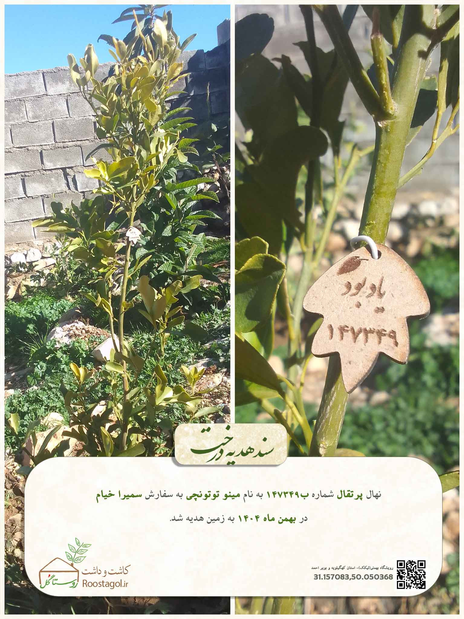 مينو توتونچى