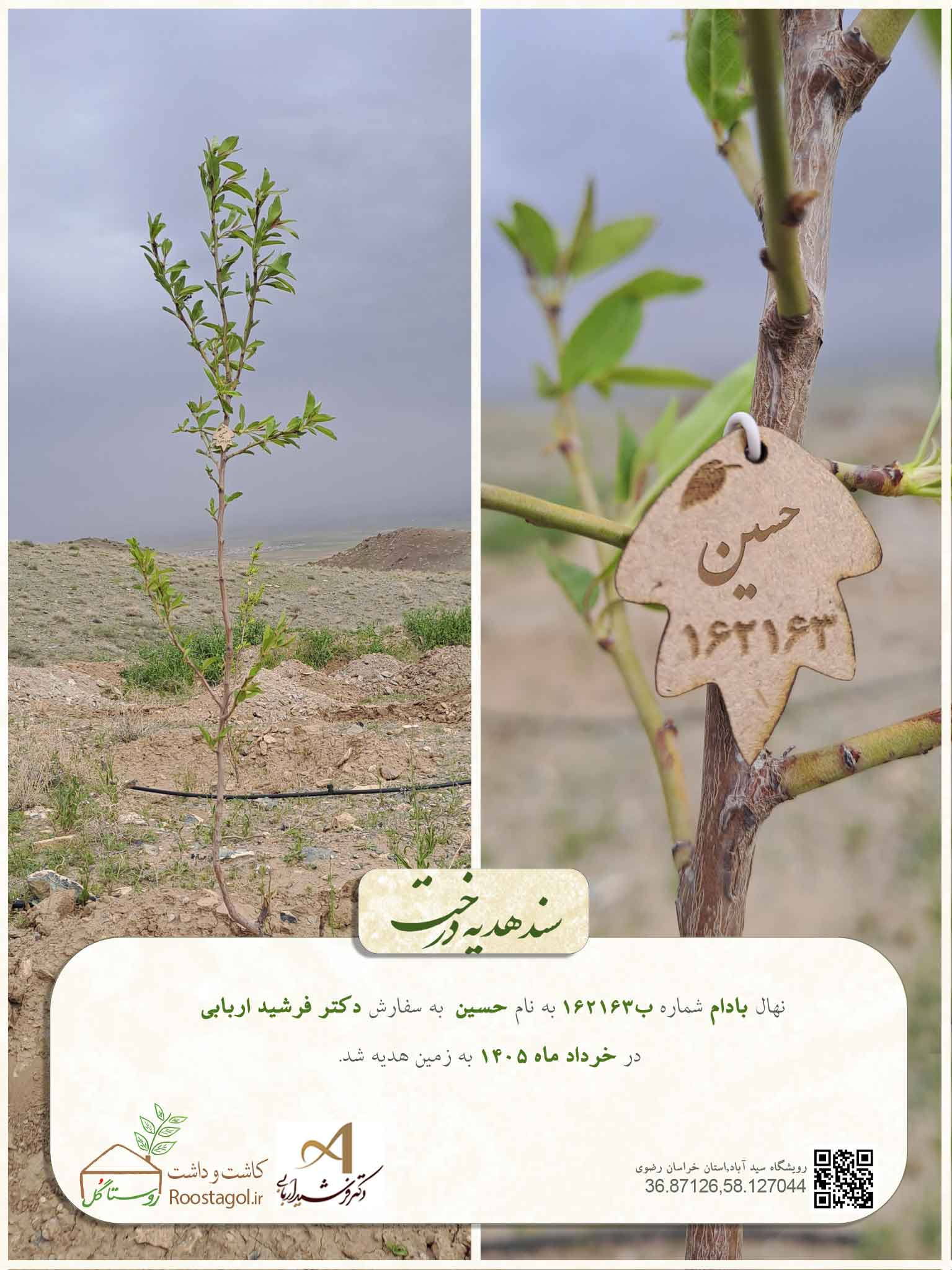حسین