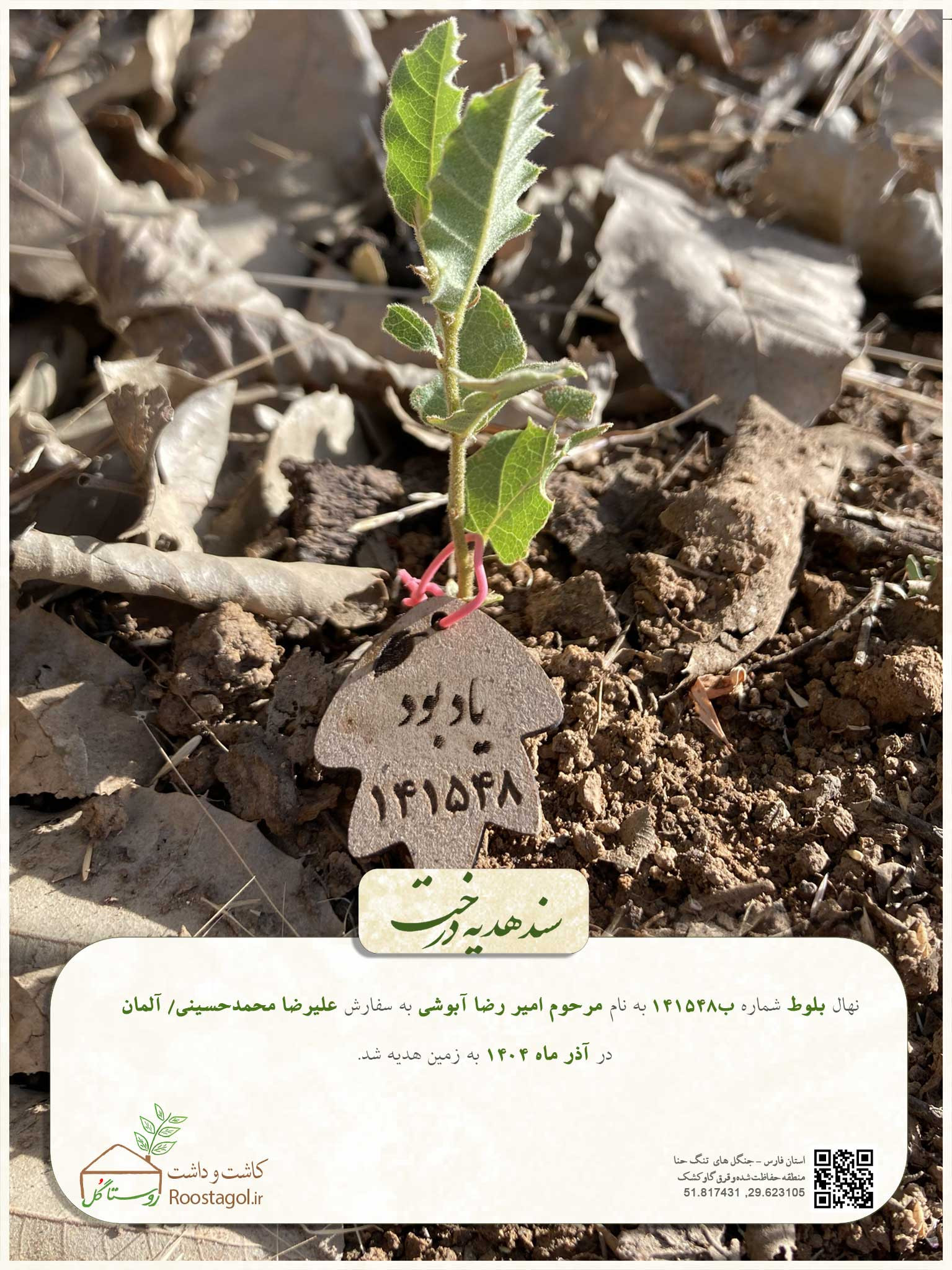 مرحوم امیر رضا آبوشی