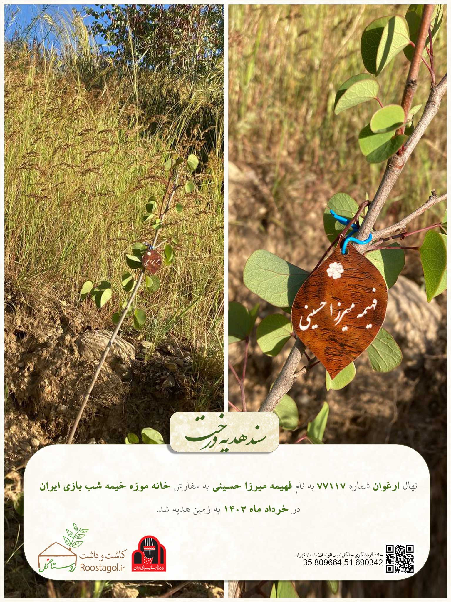 سفارش درخت