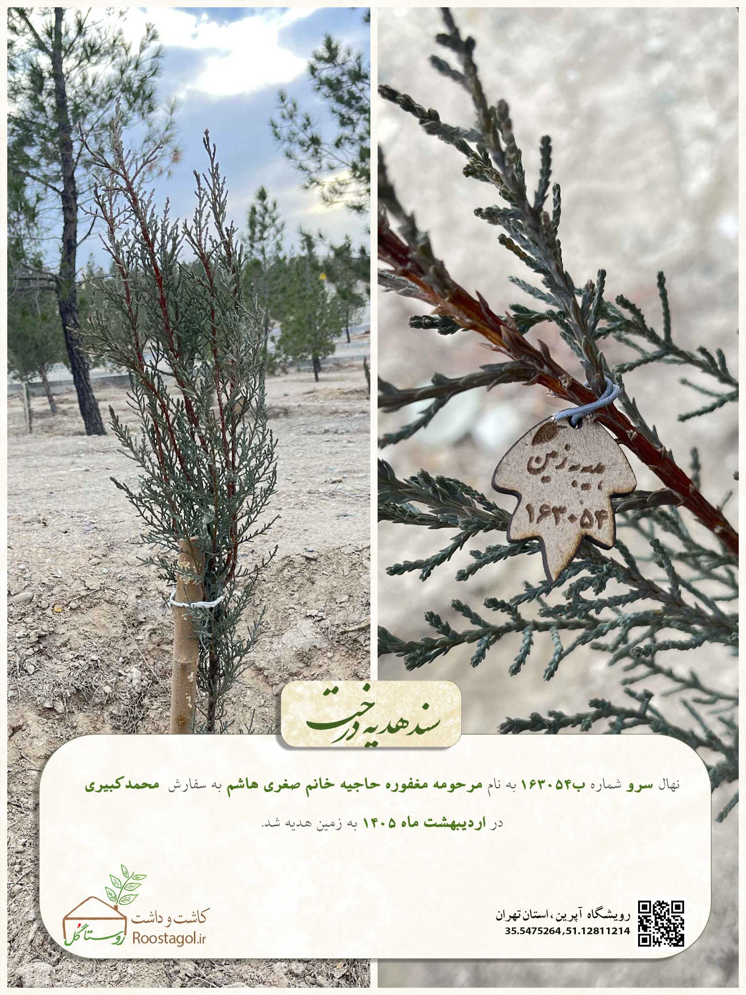 مرحومه مغفوره حاجیه خانم صغری هاشم