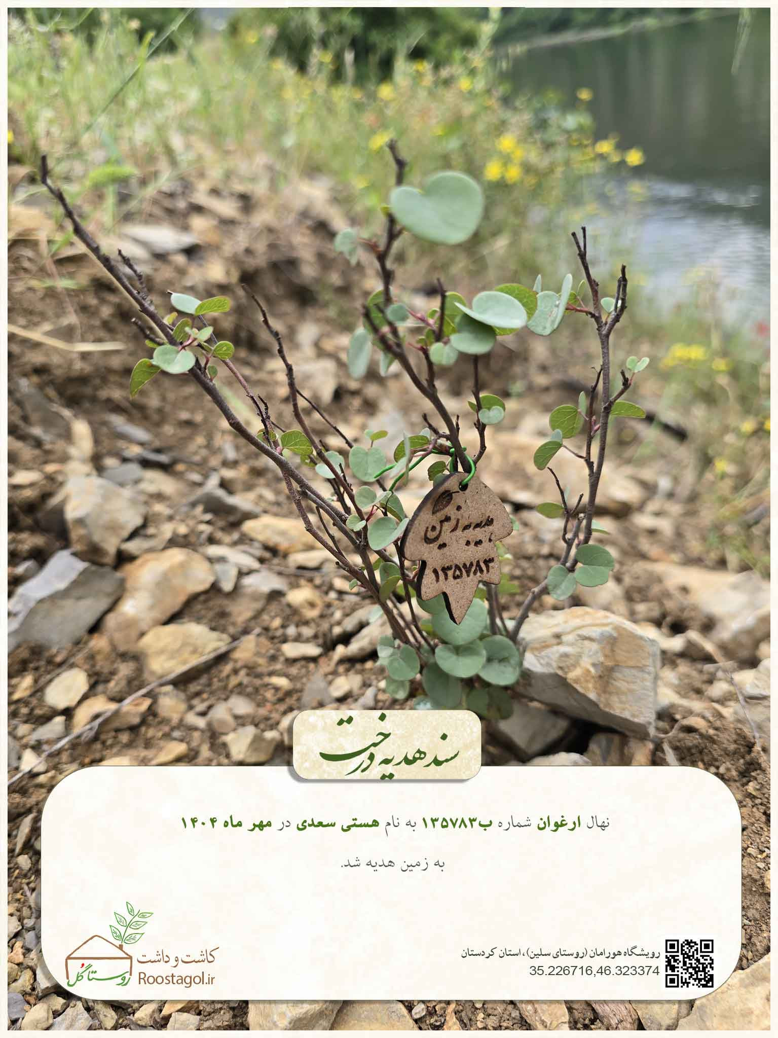 هستی سعدی