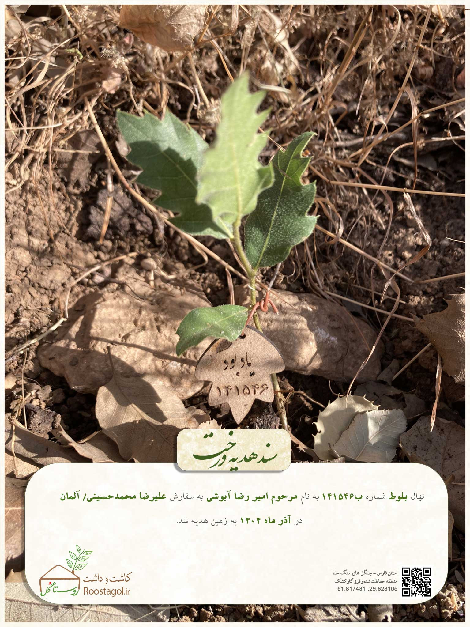 مرحوم امیر رضا آبوشی