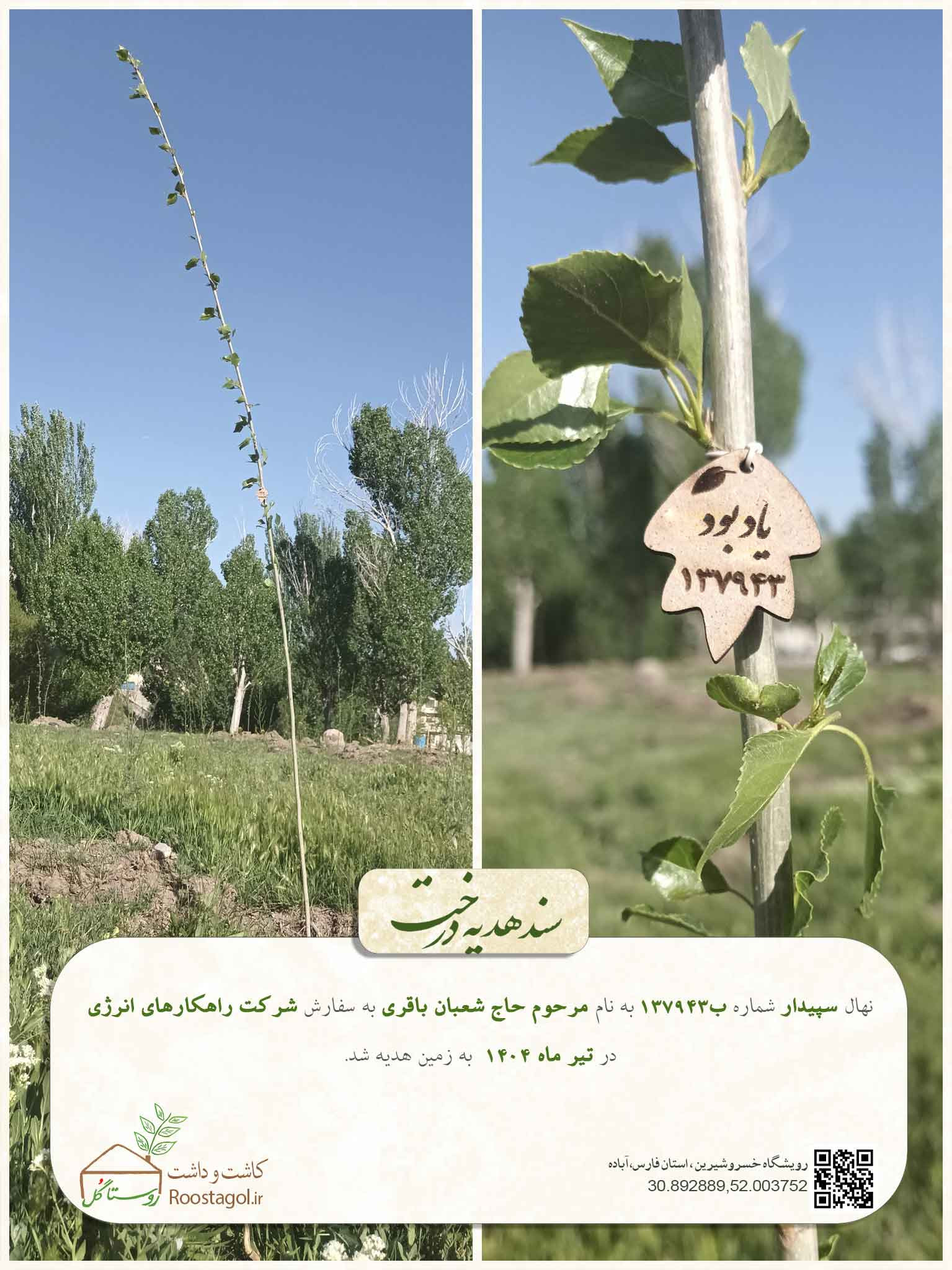 مرحوم حاج شعبان باقری