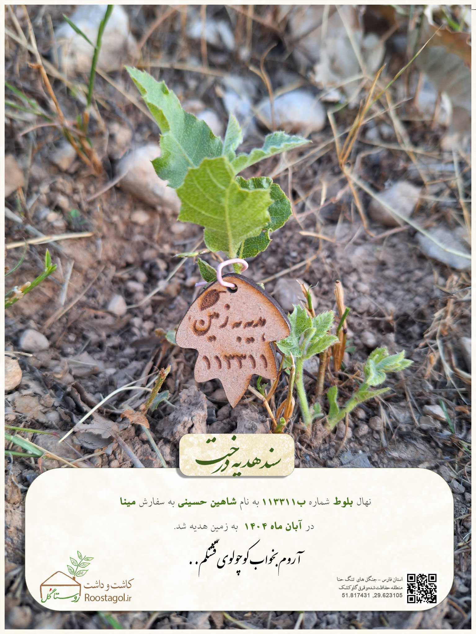 شاهین حسینی