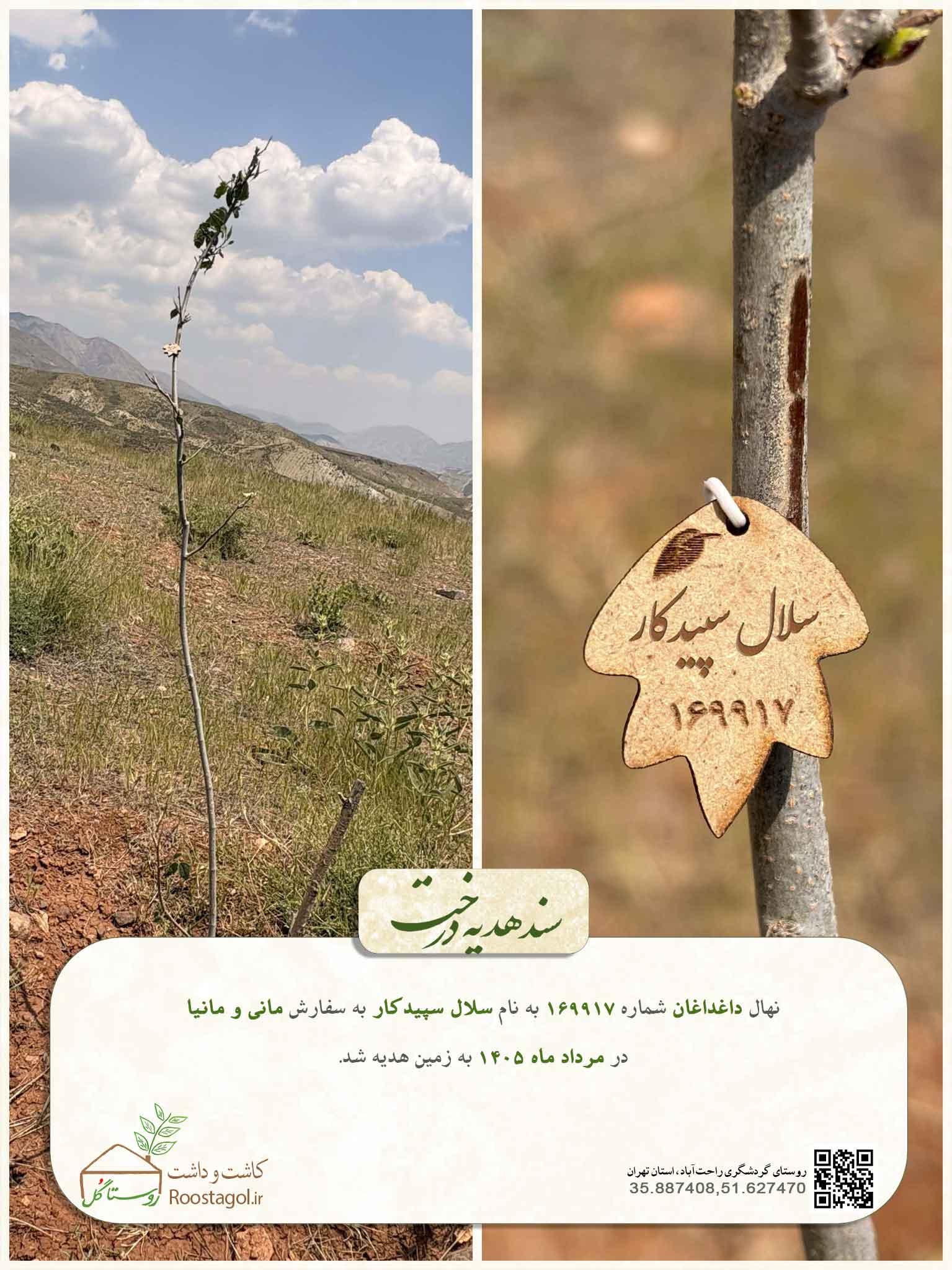 سلال سپیدکار