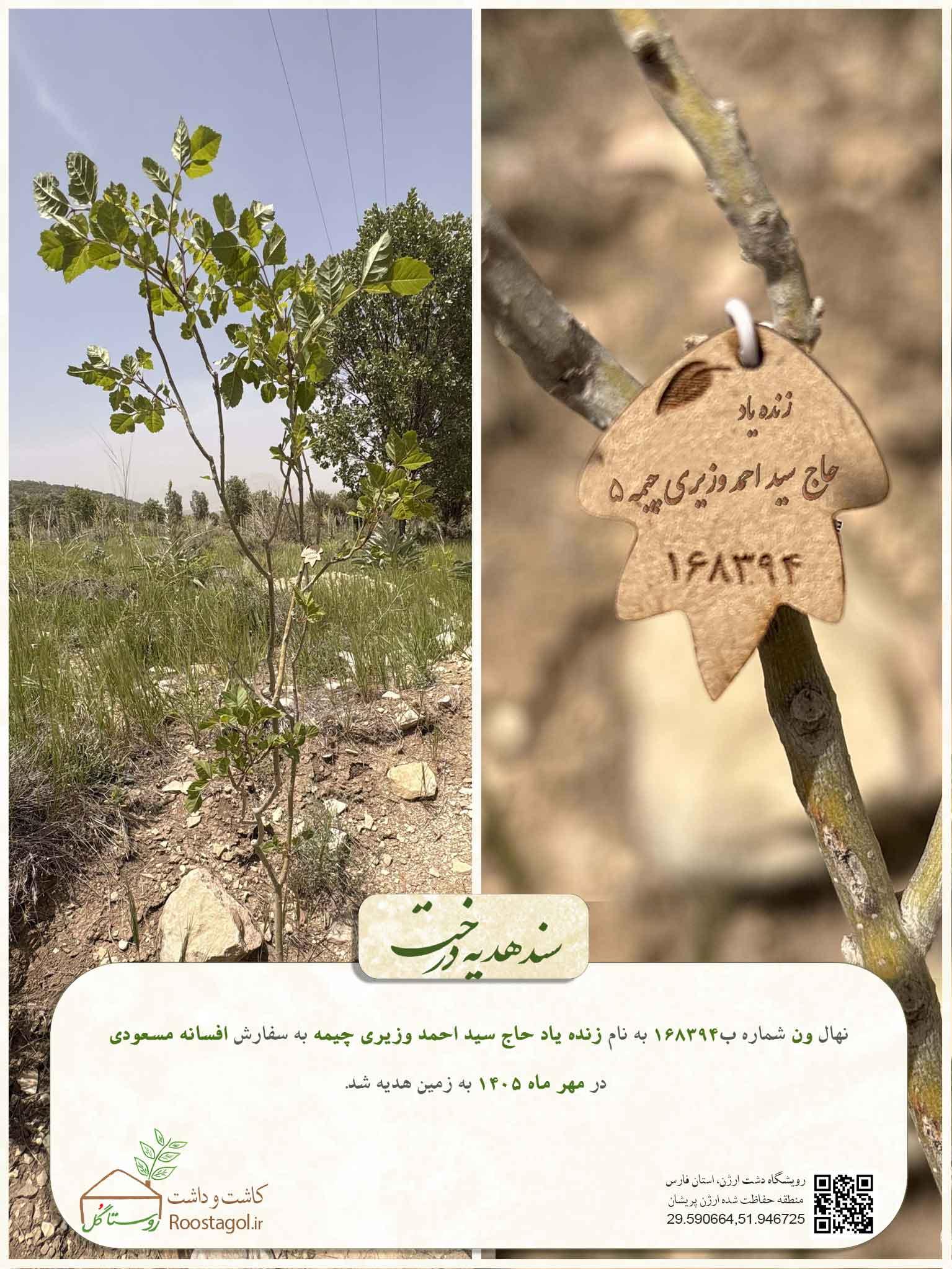 سفارش درخت