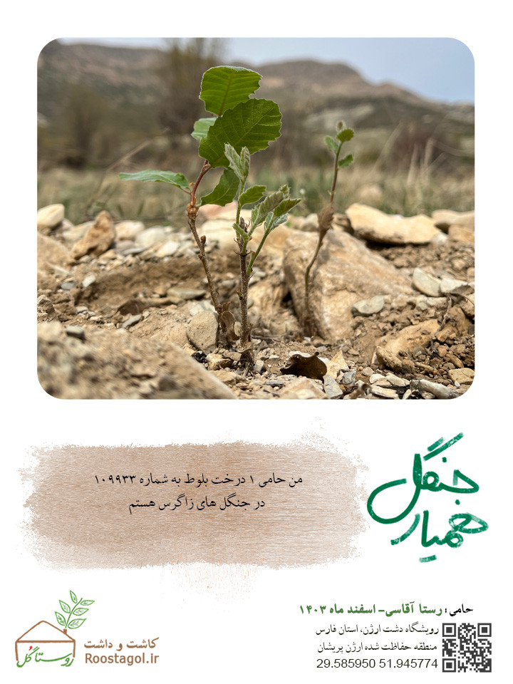 سفارش درخت