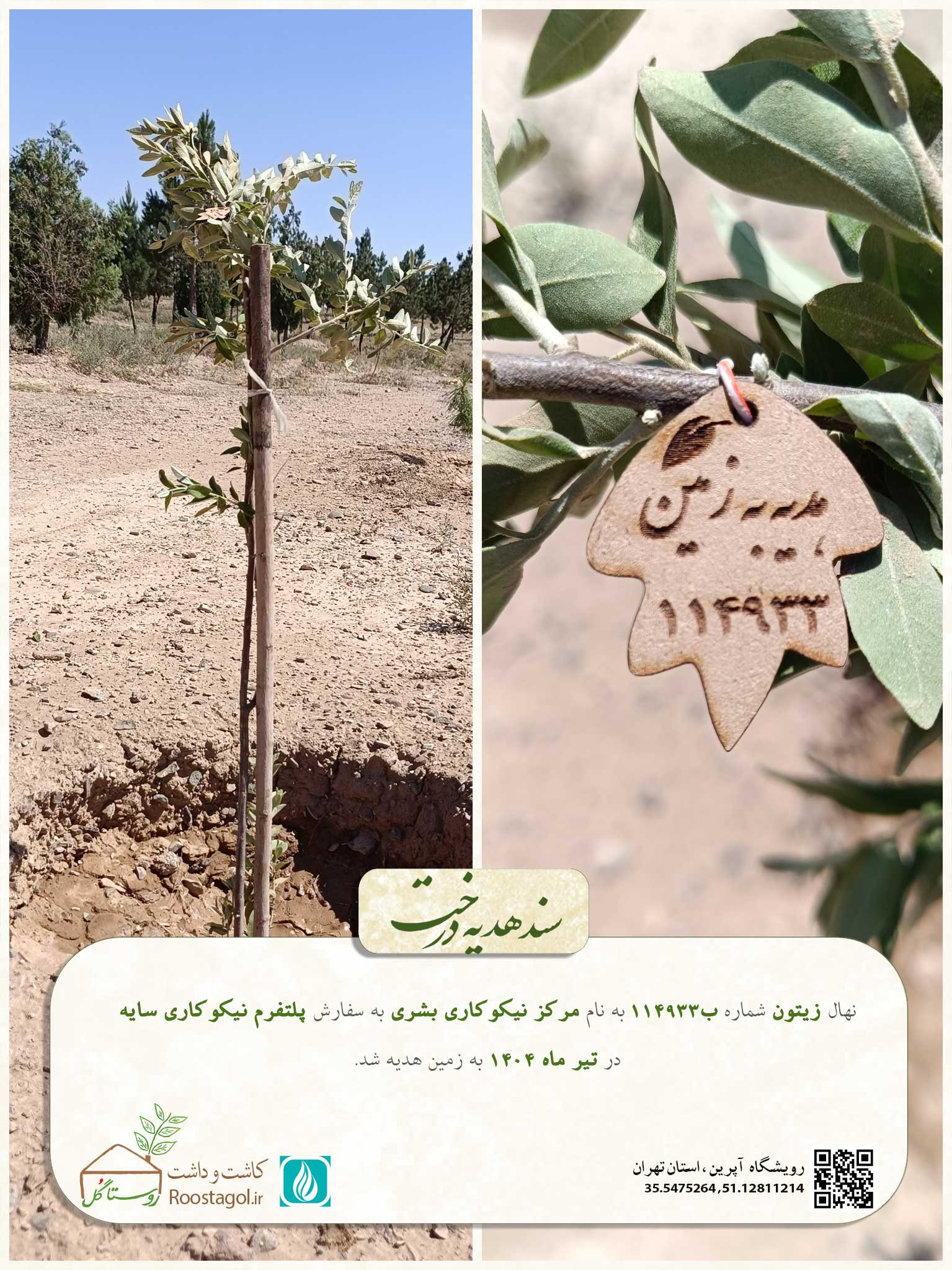 مرکز نیکوکاری بشری