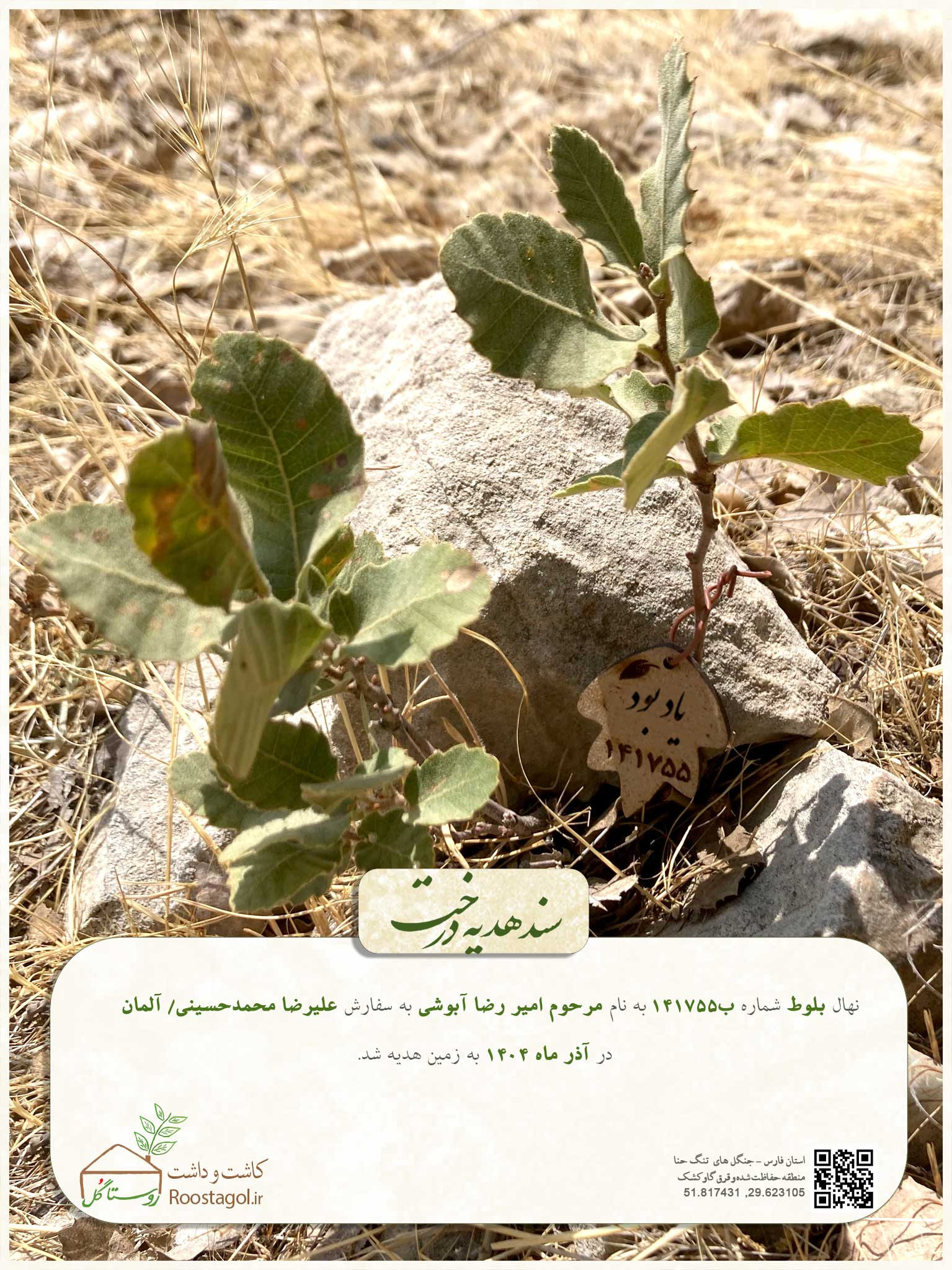 مرحوم امیر رضا آبوشی