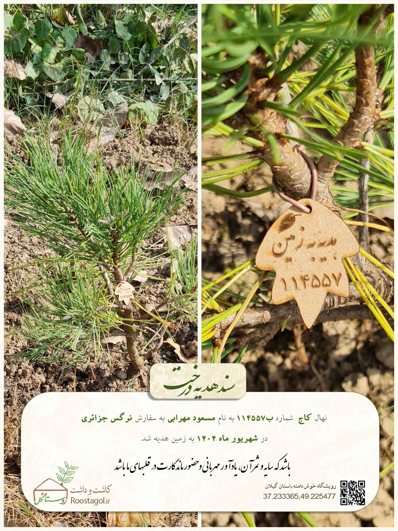 مسعود مهرابی