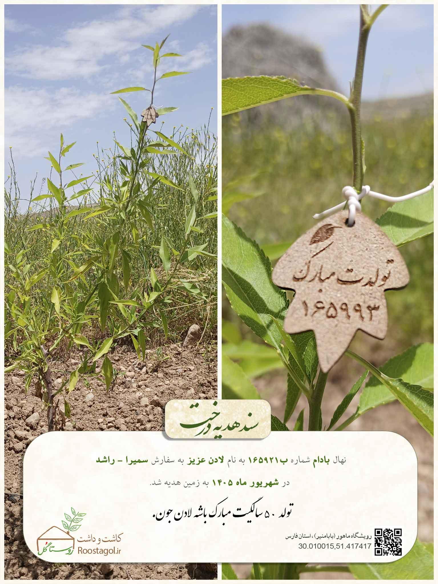 سفارش درخت