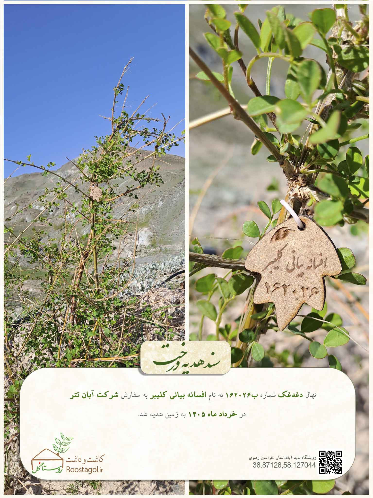 افسانه بیانی کلیبر