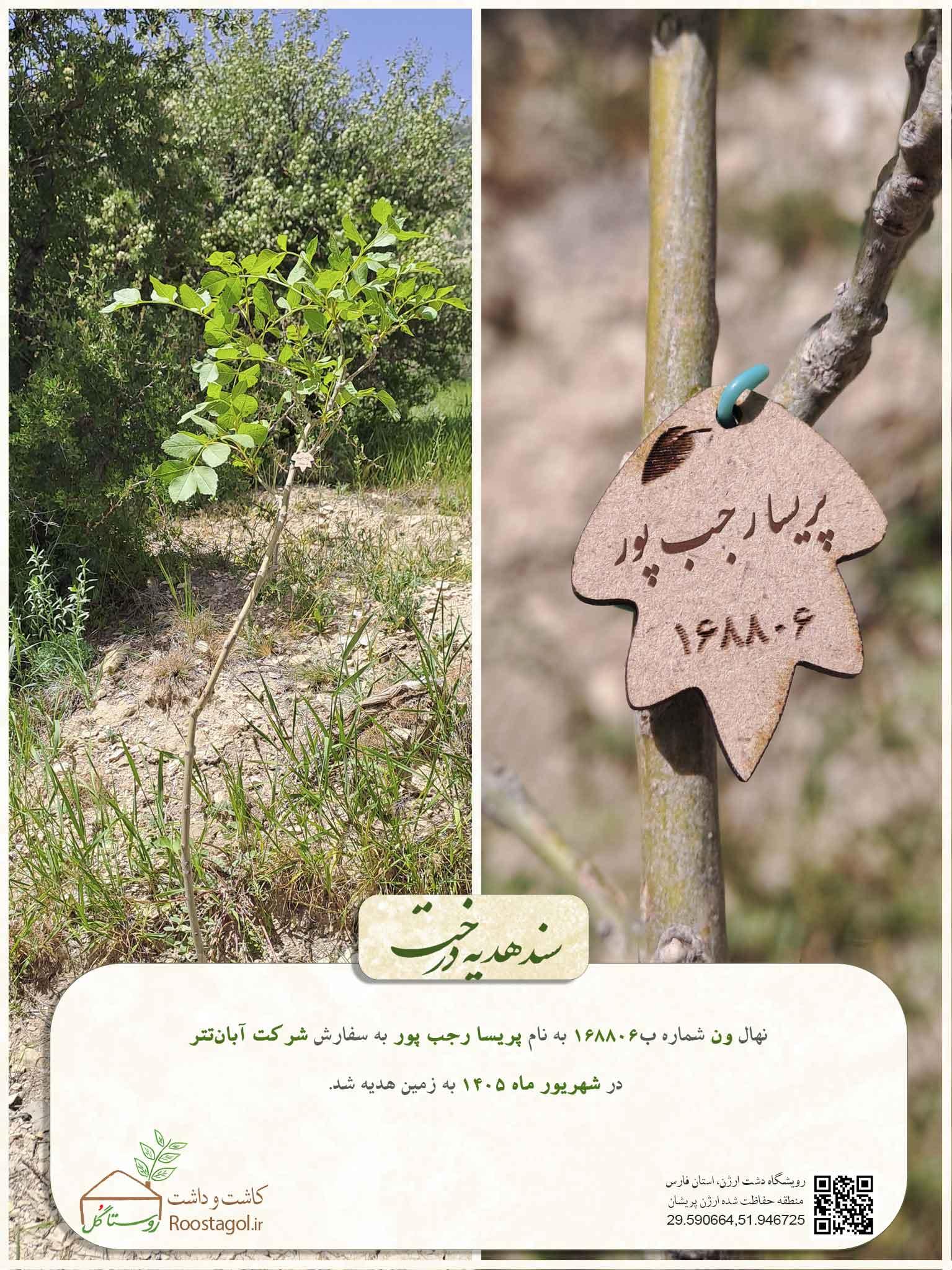 پریسا رجب پور