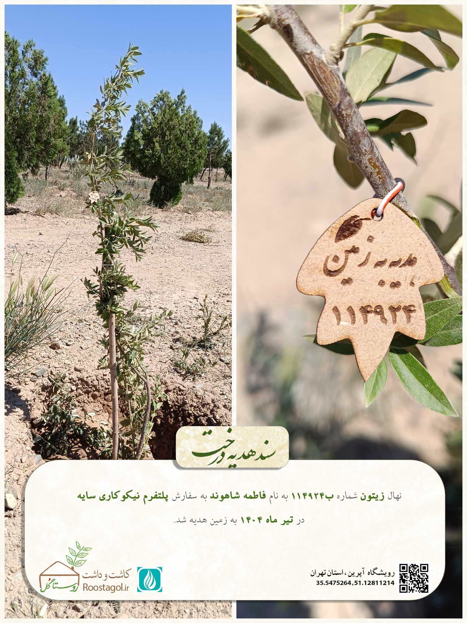 فاطمه شاهوند
