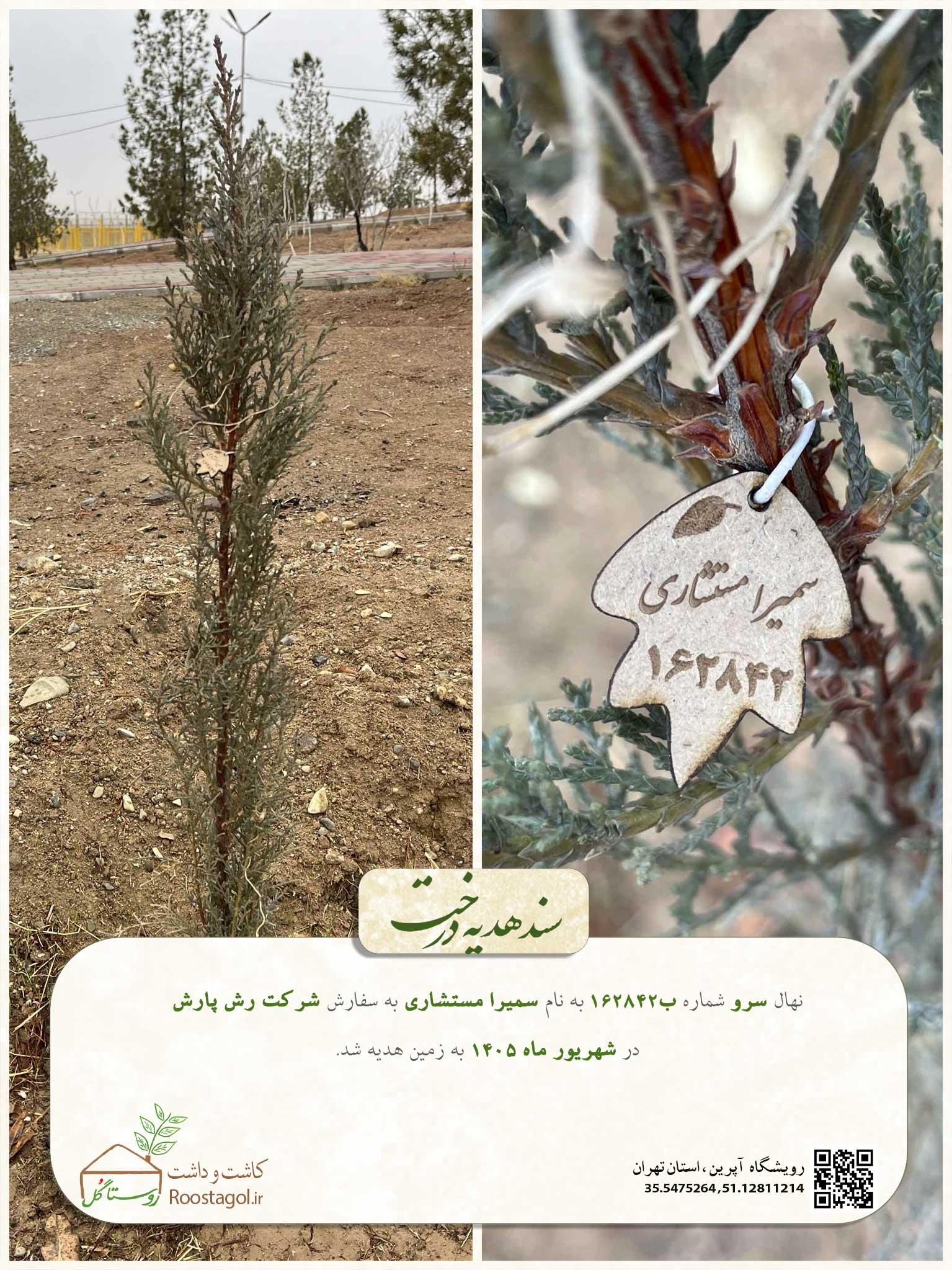 سمیرا مستشاری