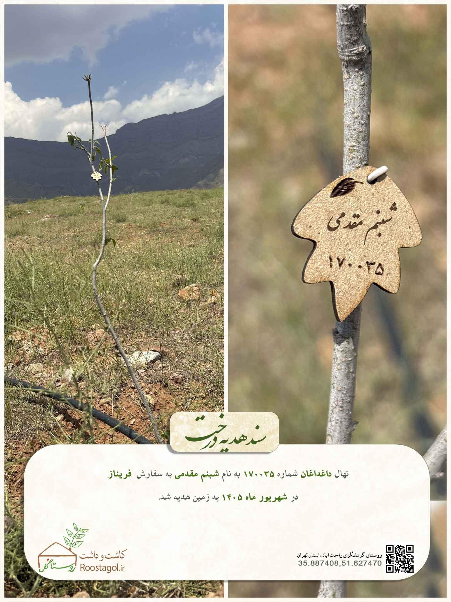 شبنم مقدمی