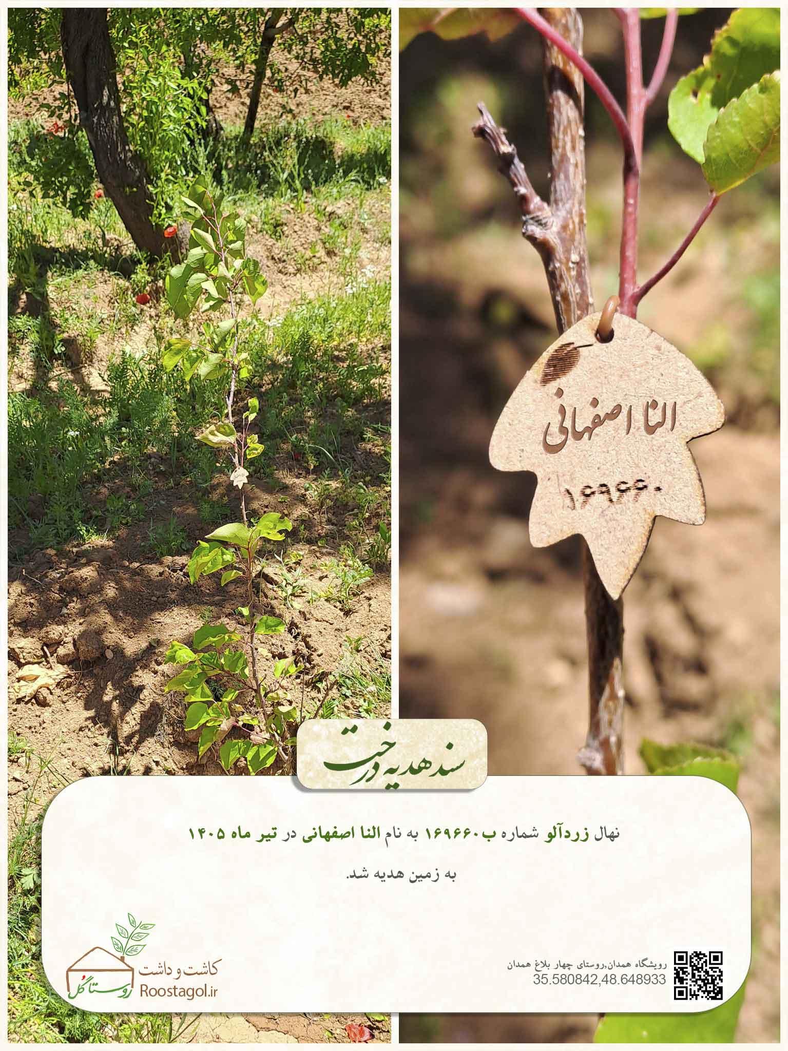 النا اصفهانی
