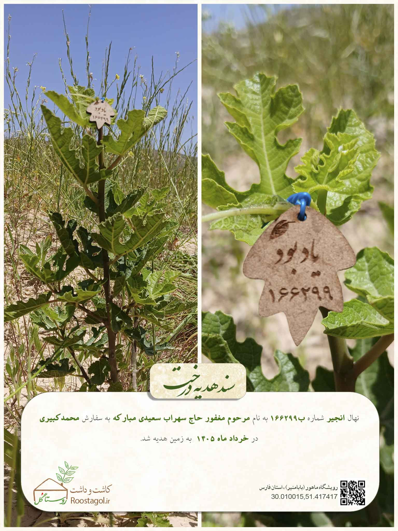 مرحوم مغفور حاج سهراب سعیدی مبارکه