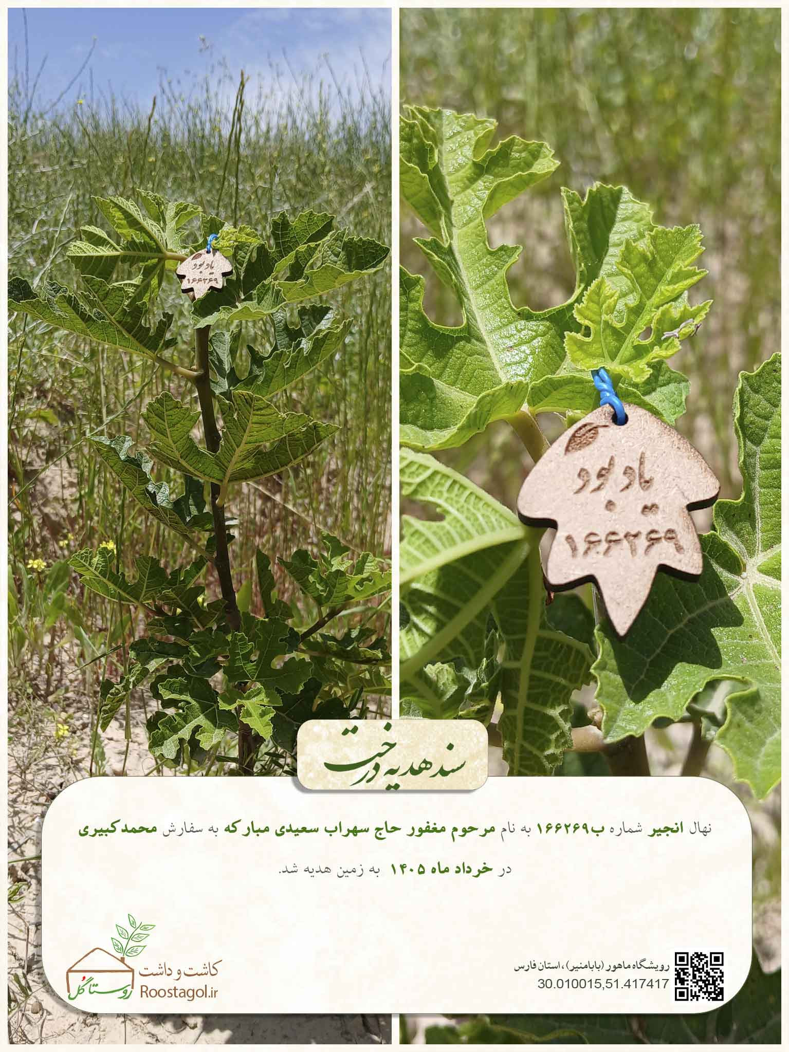 مرحوم مغفور حاج سهراب سعیدی مبارکه