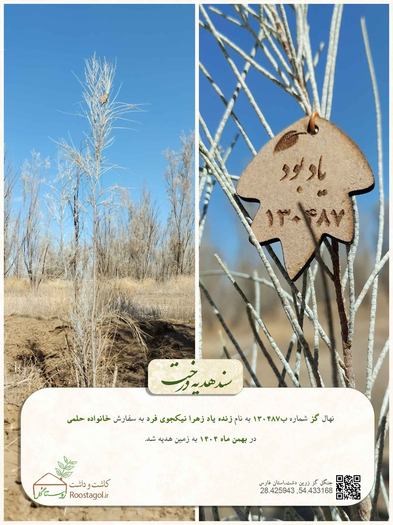 زنده ياد زهرا نيكجوى فرد