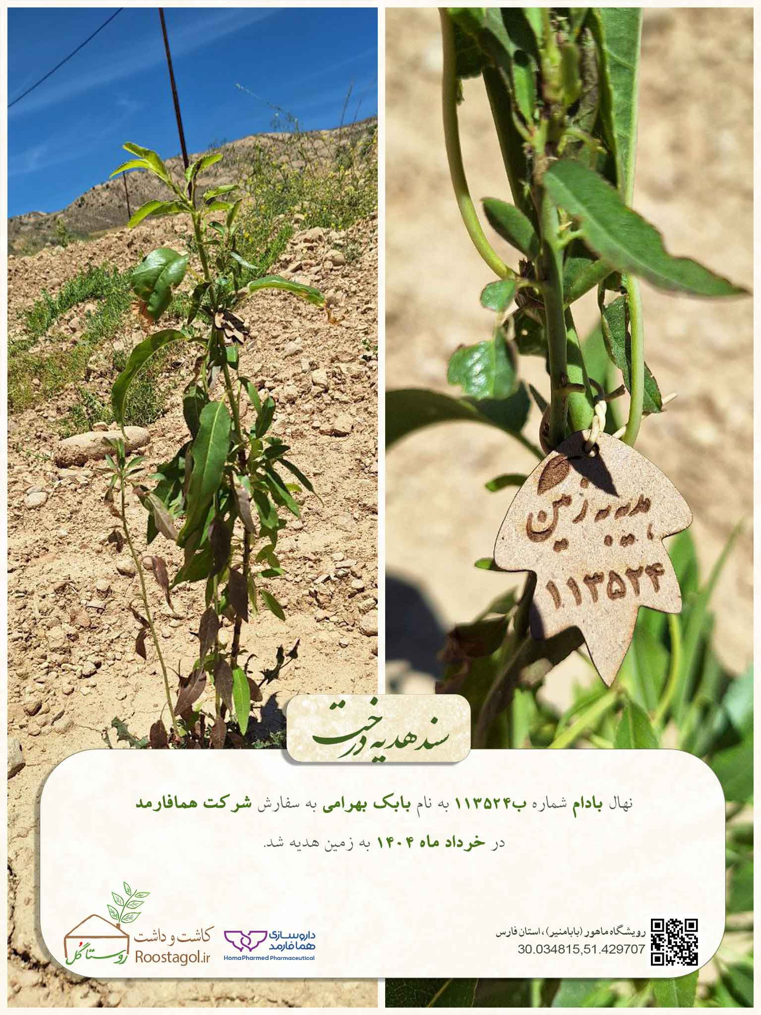بابک بهرامی