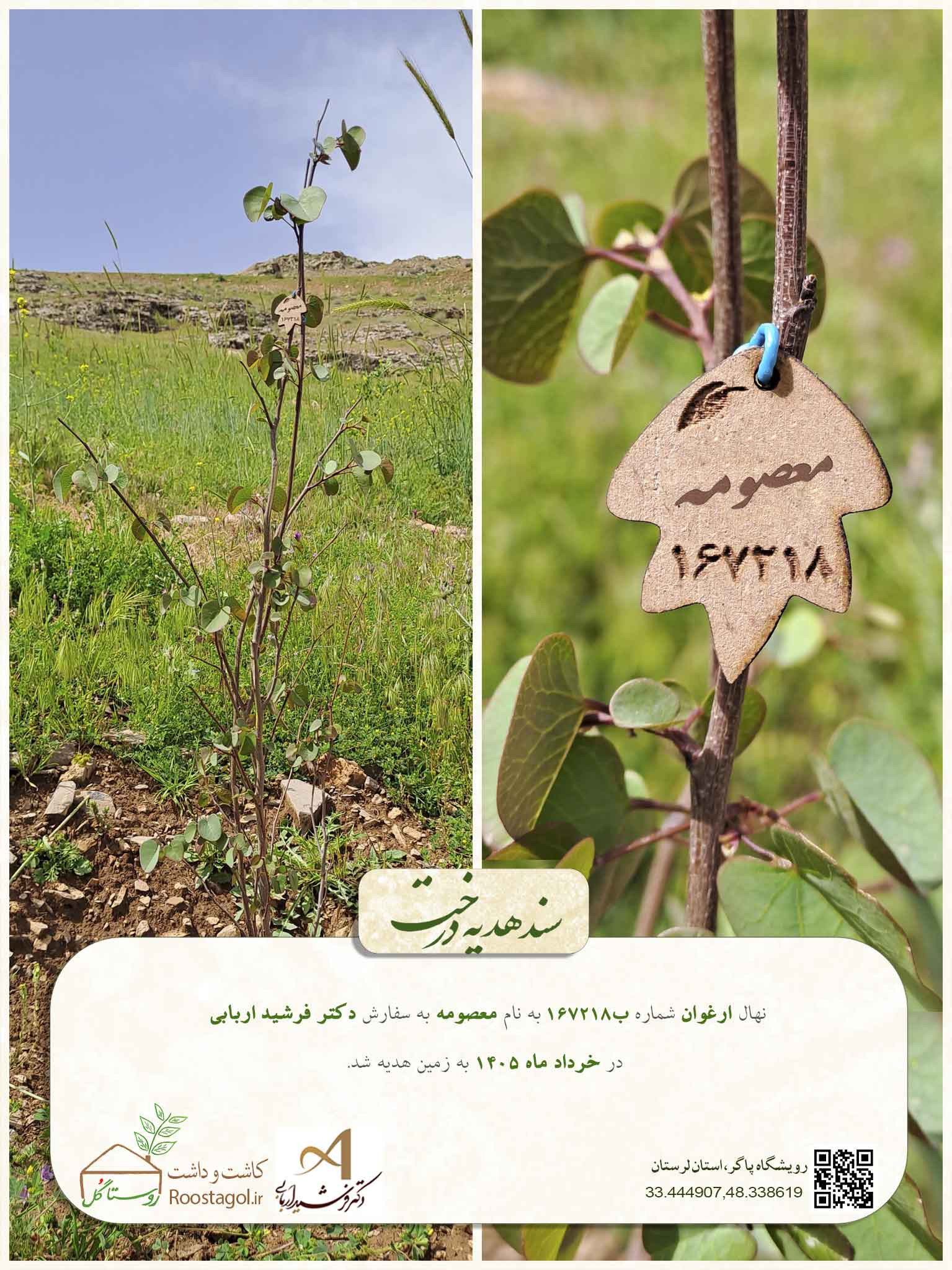 معصومه