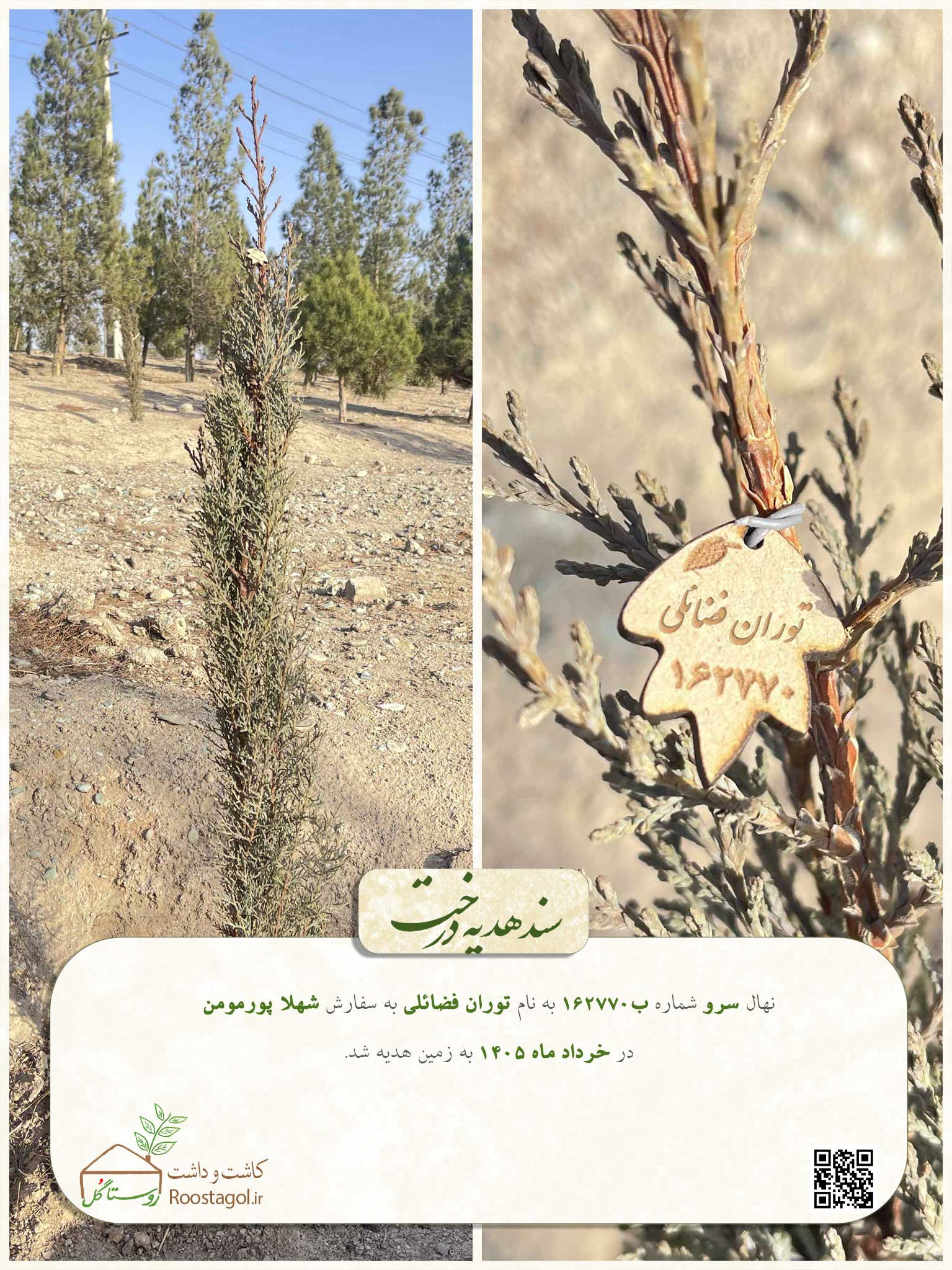 توران فضائلی