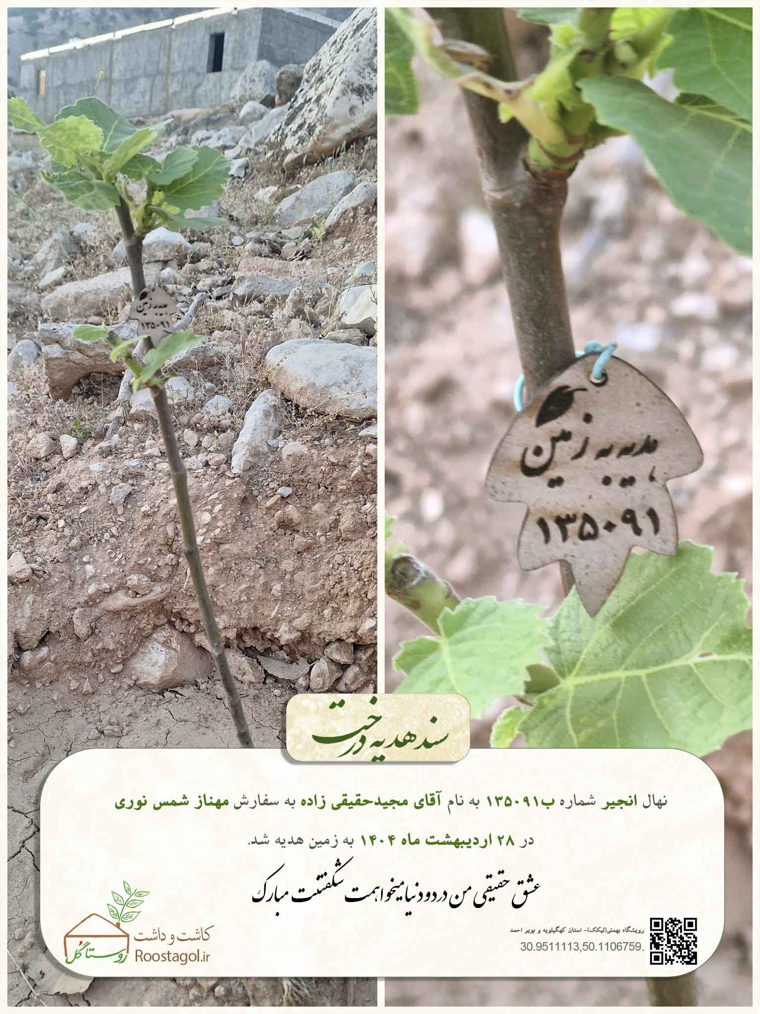 آقای مجیدحقیقی زاده